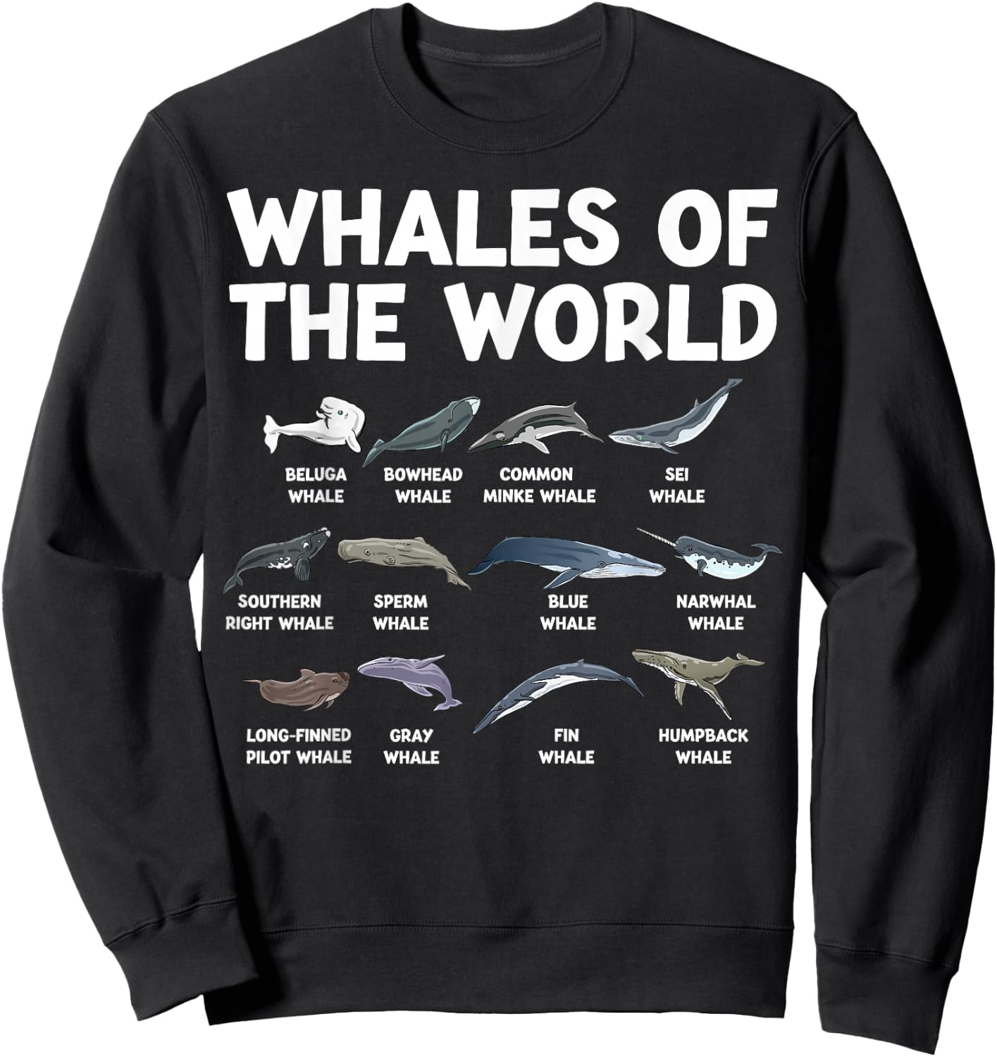 Whales Of The World Kawaii Types Of Whales Sea Animal Whale Sweatshirt - Sweatshirt | Black