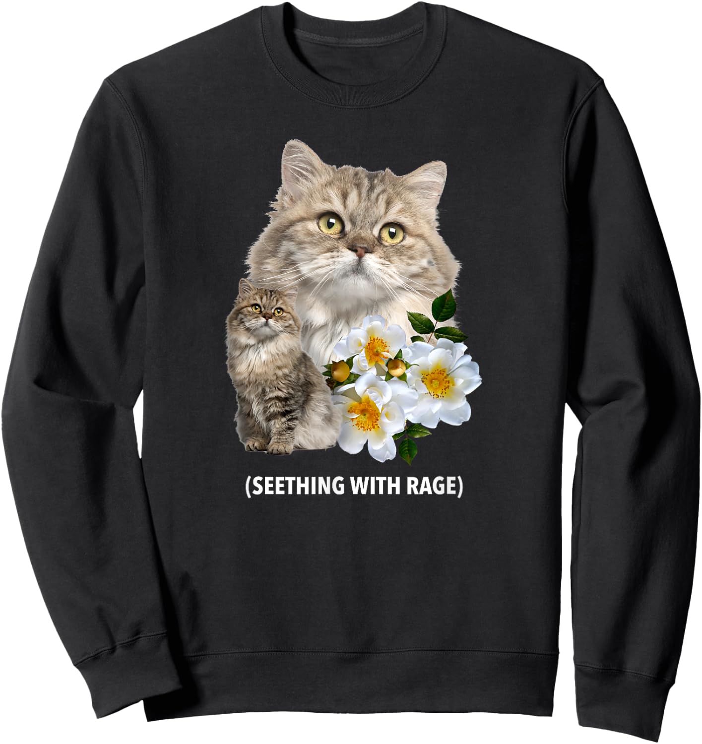 Funny Cat Seething with Rage Cute Sarcastic Kitty Feline Men Women Sweatshirt - Sweatshirt | Black