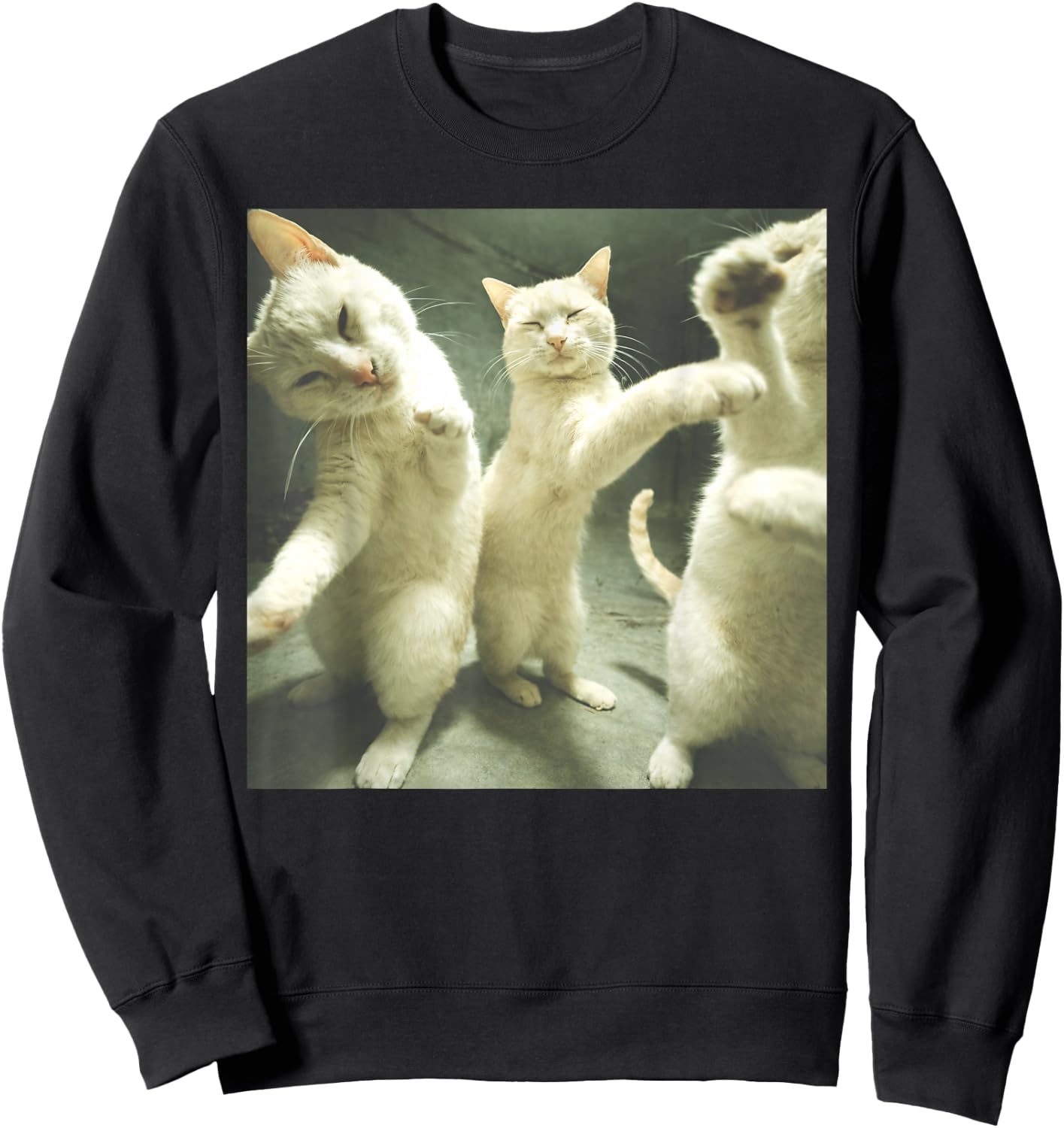 Unhinged Dancing Cats Silly Meme Men Women Sweatshirt - Sweatshirt | Black