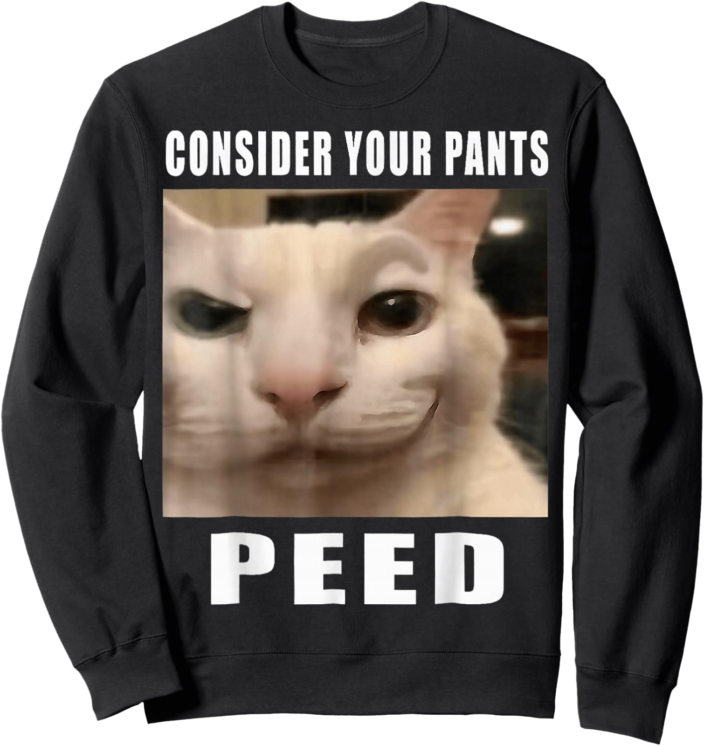 Consider Your Pants Peed Cat Funny Sweatshirt - Sweatshirt | Black