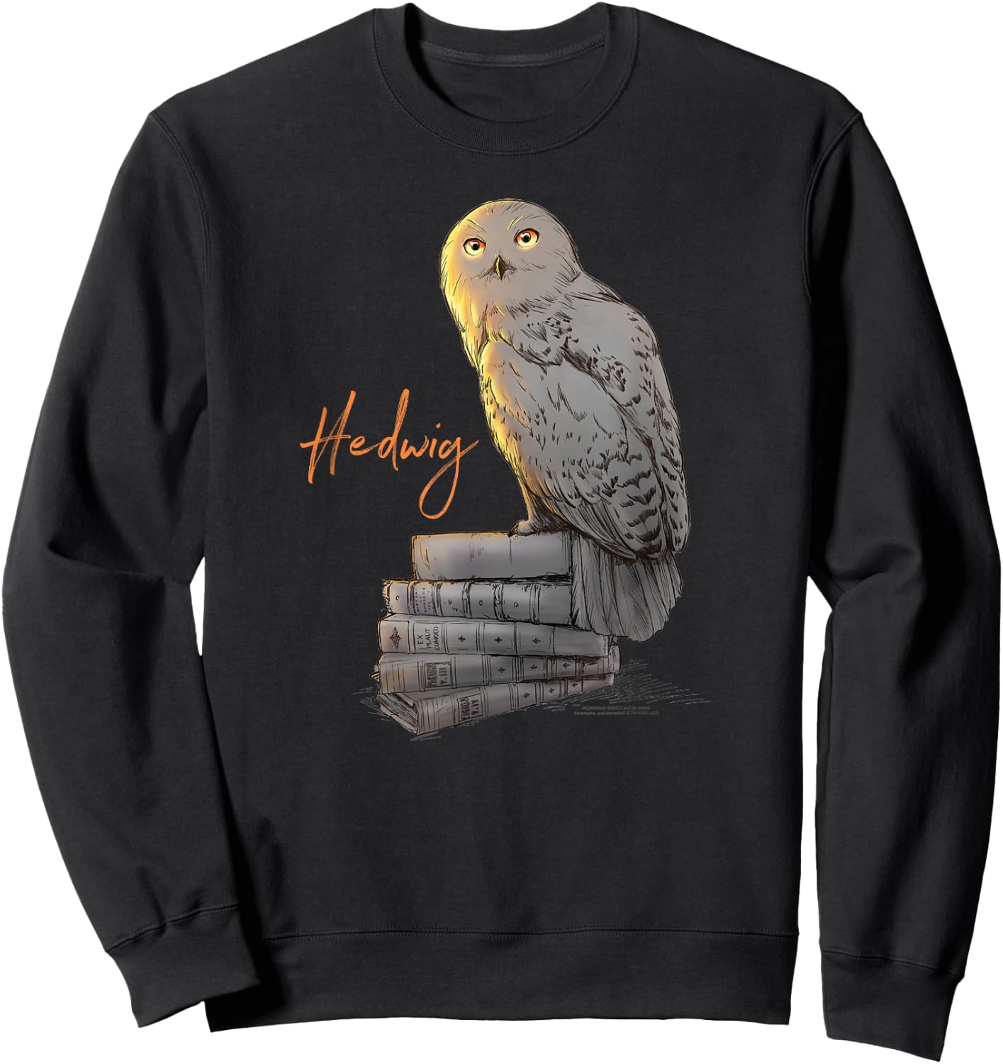 Harry Potter Hedwig Books Painted , black Sweatshirt - Sweatshirt | Black