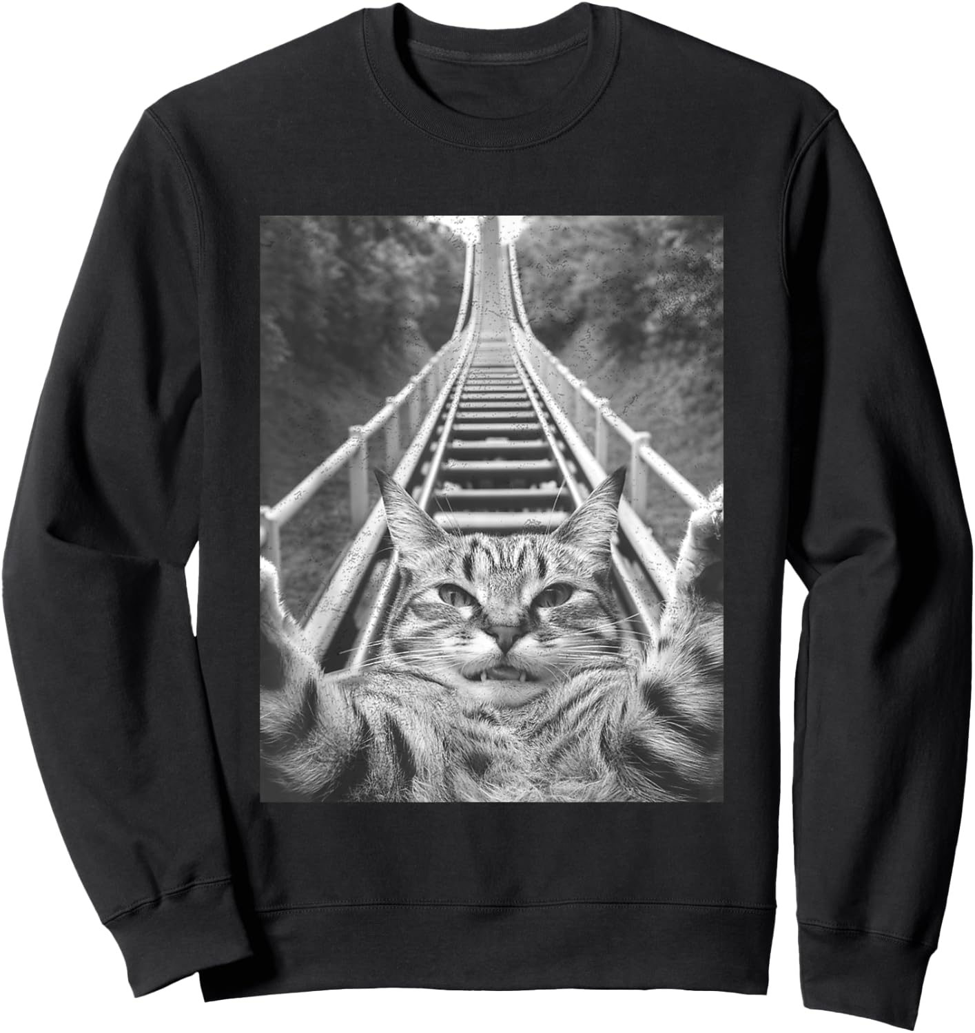 Cat Selfie on Roller coaster Men Women Kids Sweatshirt - Sweatshirt | Black