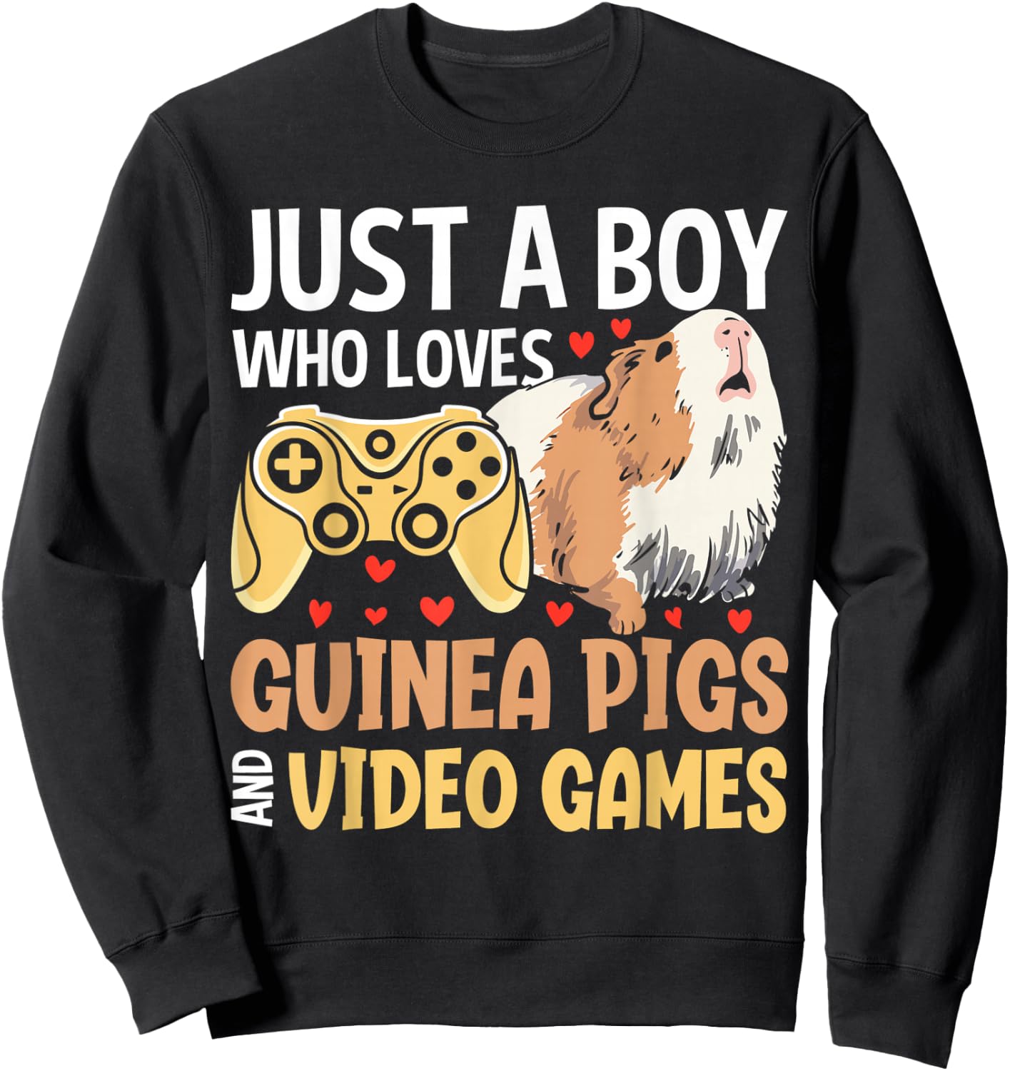 Just A Boy Who Loves Guinea Pigs And Video Games Sweatshirt - Sweatshirt | Black