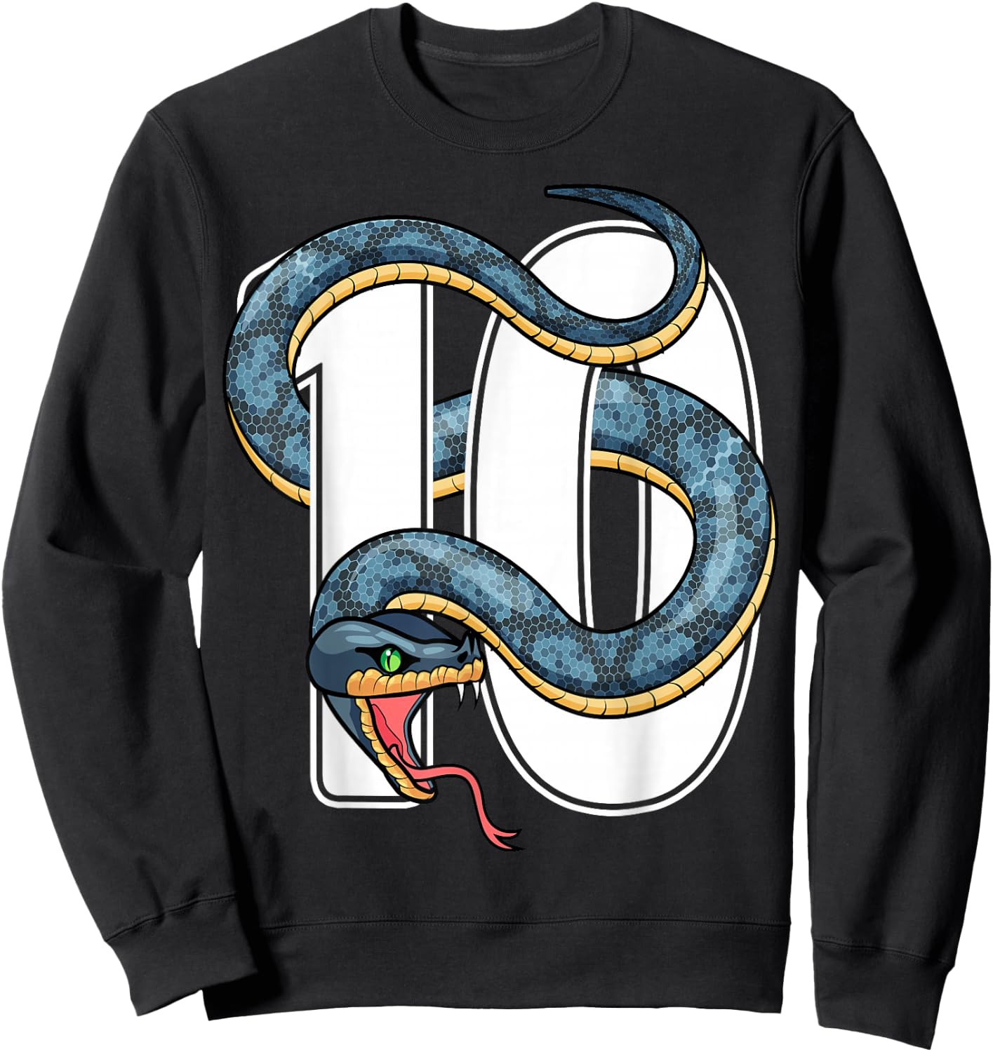 10th Birthday Snake Lover Ten 10 Year Old Birthday Boy Girl Sweatshirt - Sweatshirt | Black