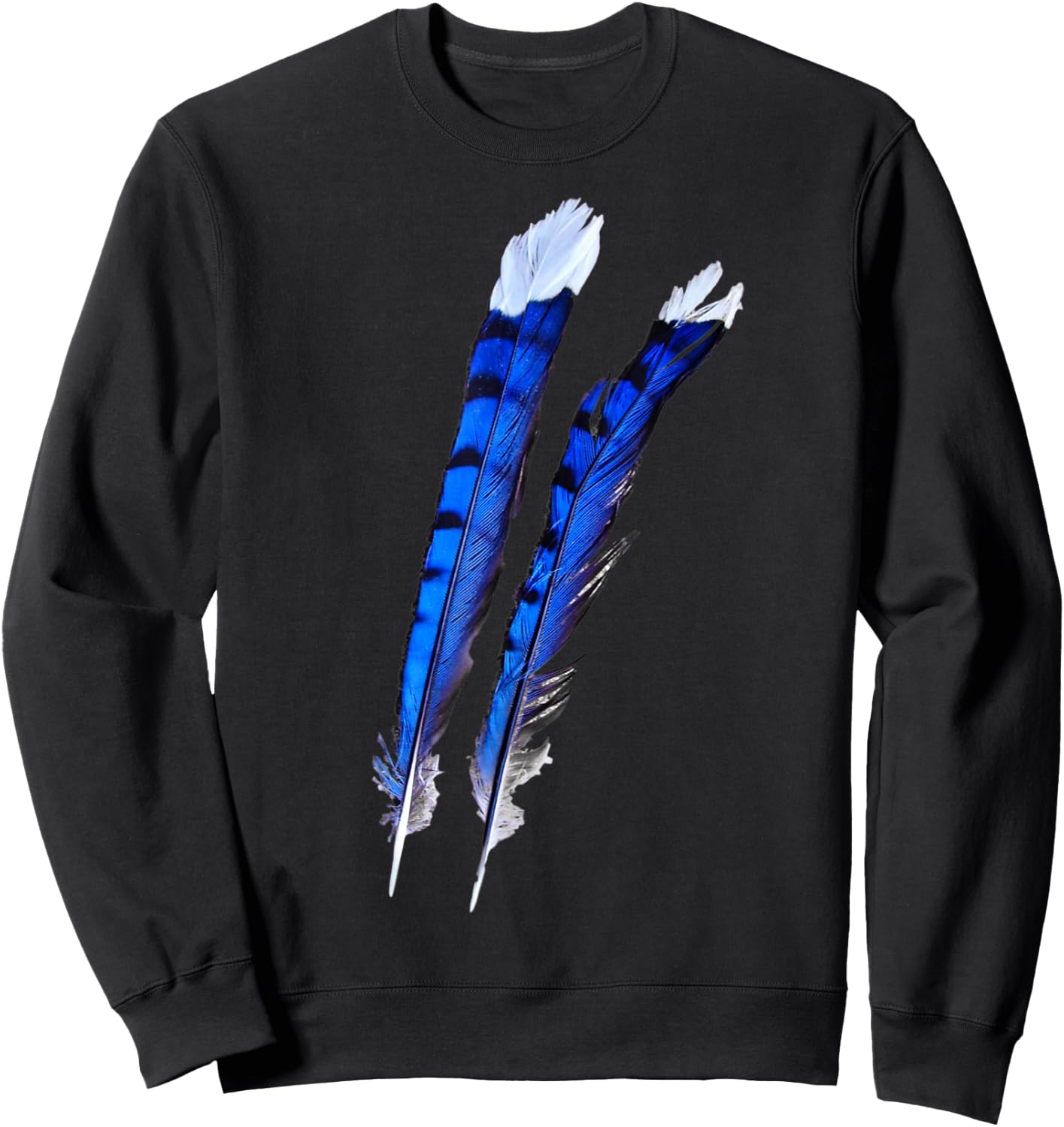 Blue Jay Bird Feathers Blue Beautiful Wildlife Birder Gift Sweatshirt - Sweatshirt | Black