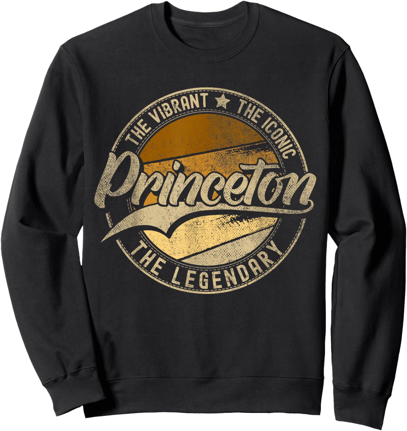 Princeton NJ | New Jersey | Vintage Distressed Sweatshirt - Sweatshirt | Black