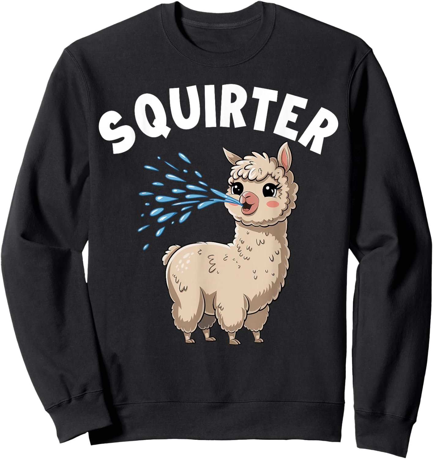 Inappropriate Funny Squirter Embarrassing T Shirts Sweatshirt - Sweatshirt | Black