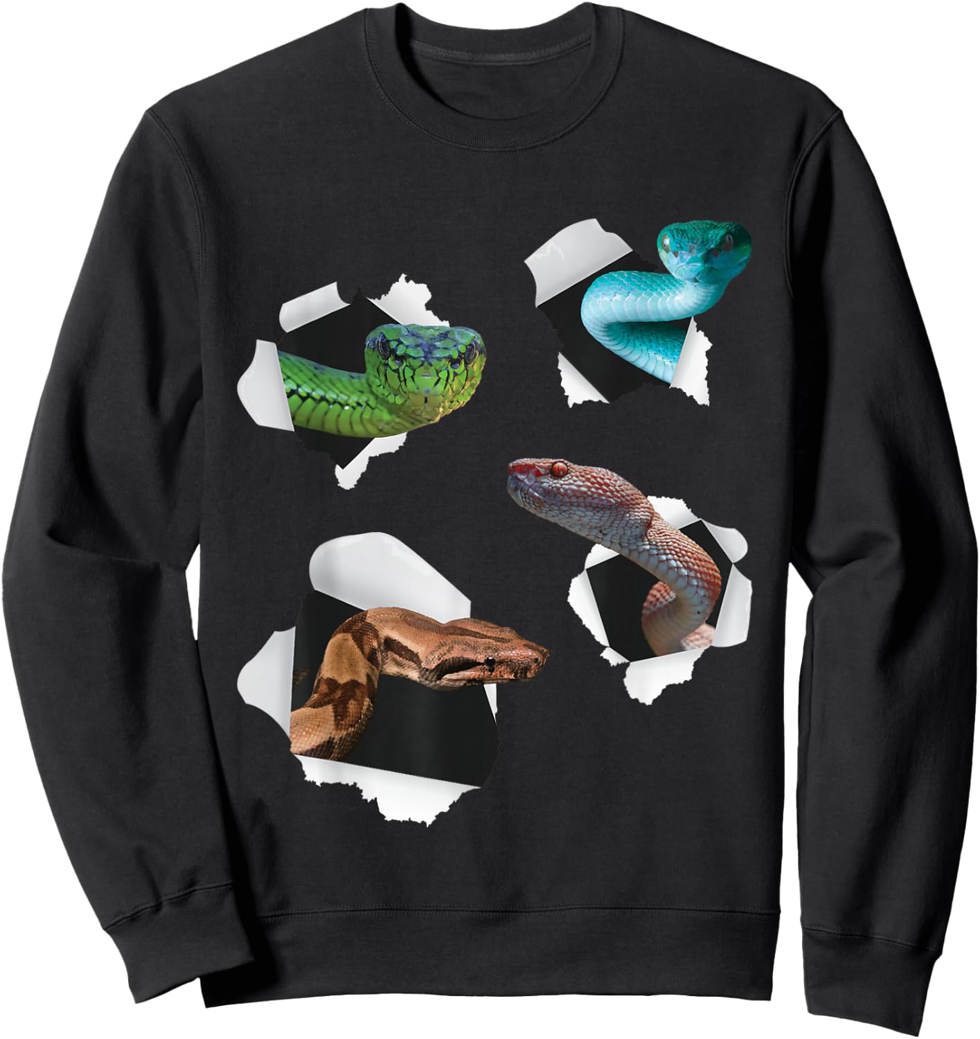 Different Type Of Snakes - Snake Lover Herpetology Zookeeper Sweatshirt - Sweatshirt | Black