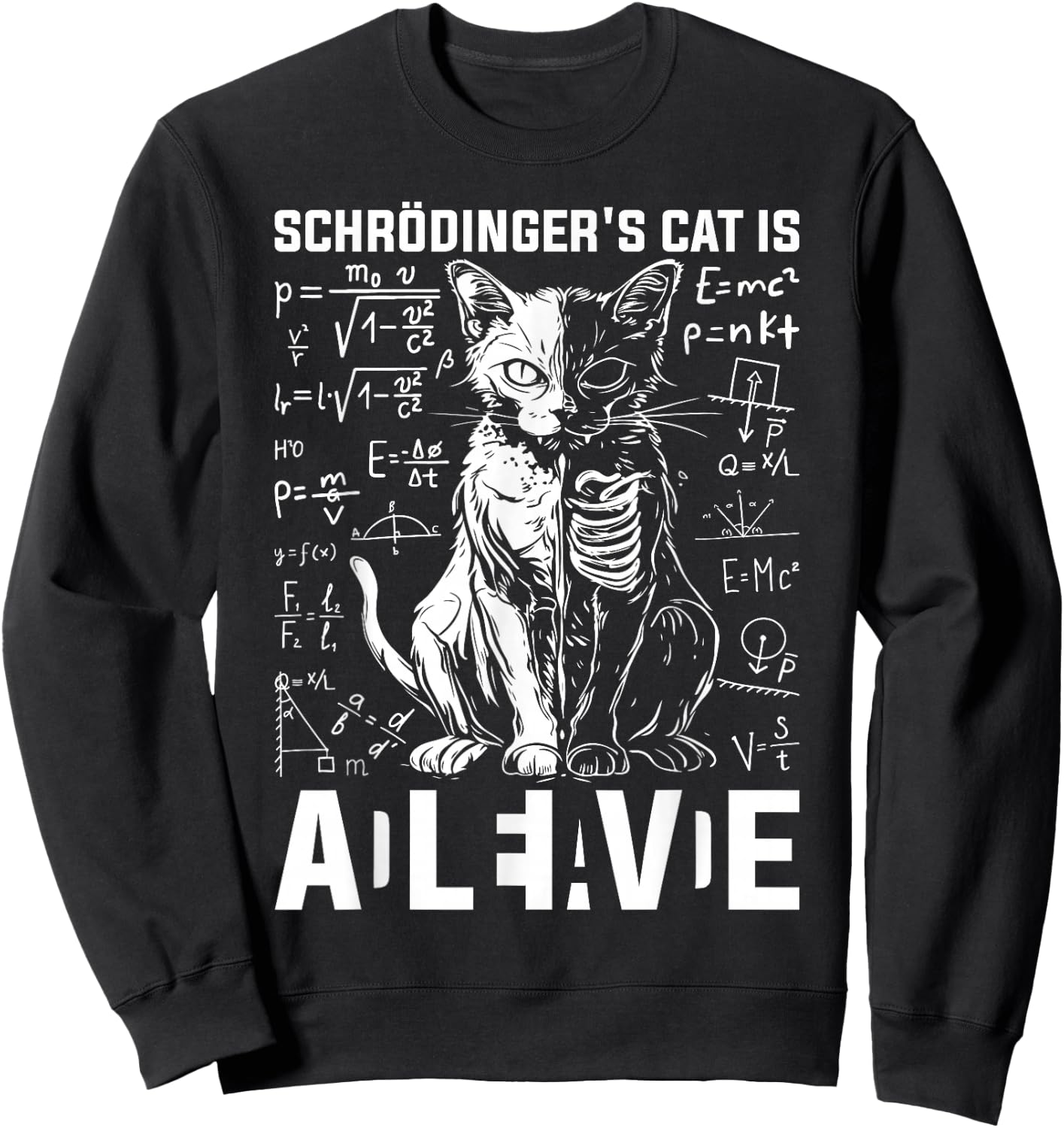 Schrodinger's Cat Dead And Alive Physics Sweatshirt - Sweatshirt | Black