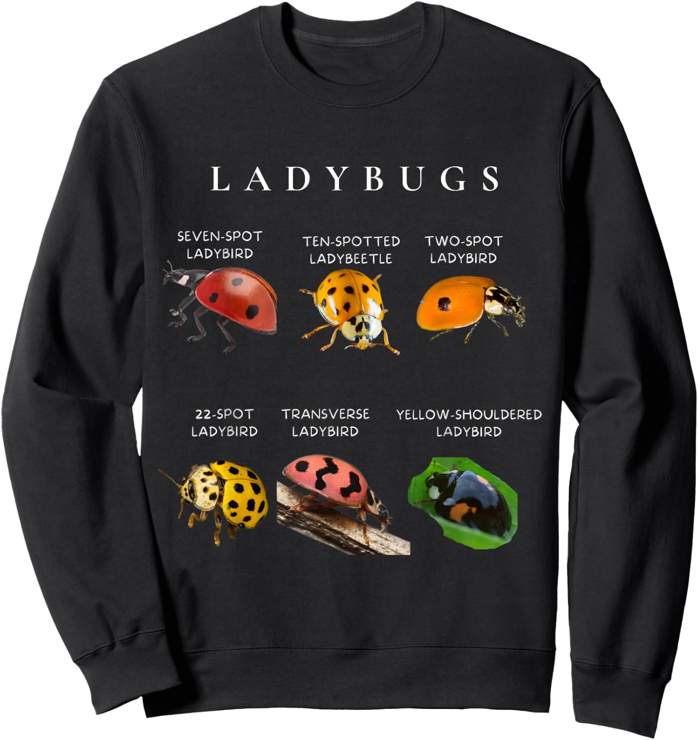 Types of ladybugs insects bug identification science Sweatshirt - Sweatshirt | Black