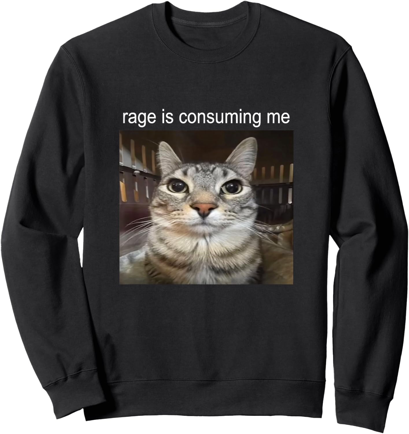 Wut verzehrt mich Dummes Starrendes Katzen-Meme , black Sweatshirt - Sweatshirt | Black