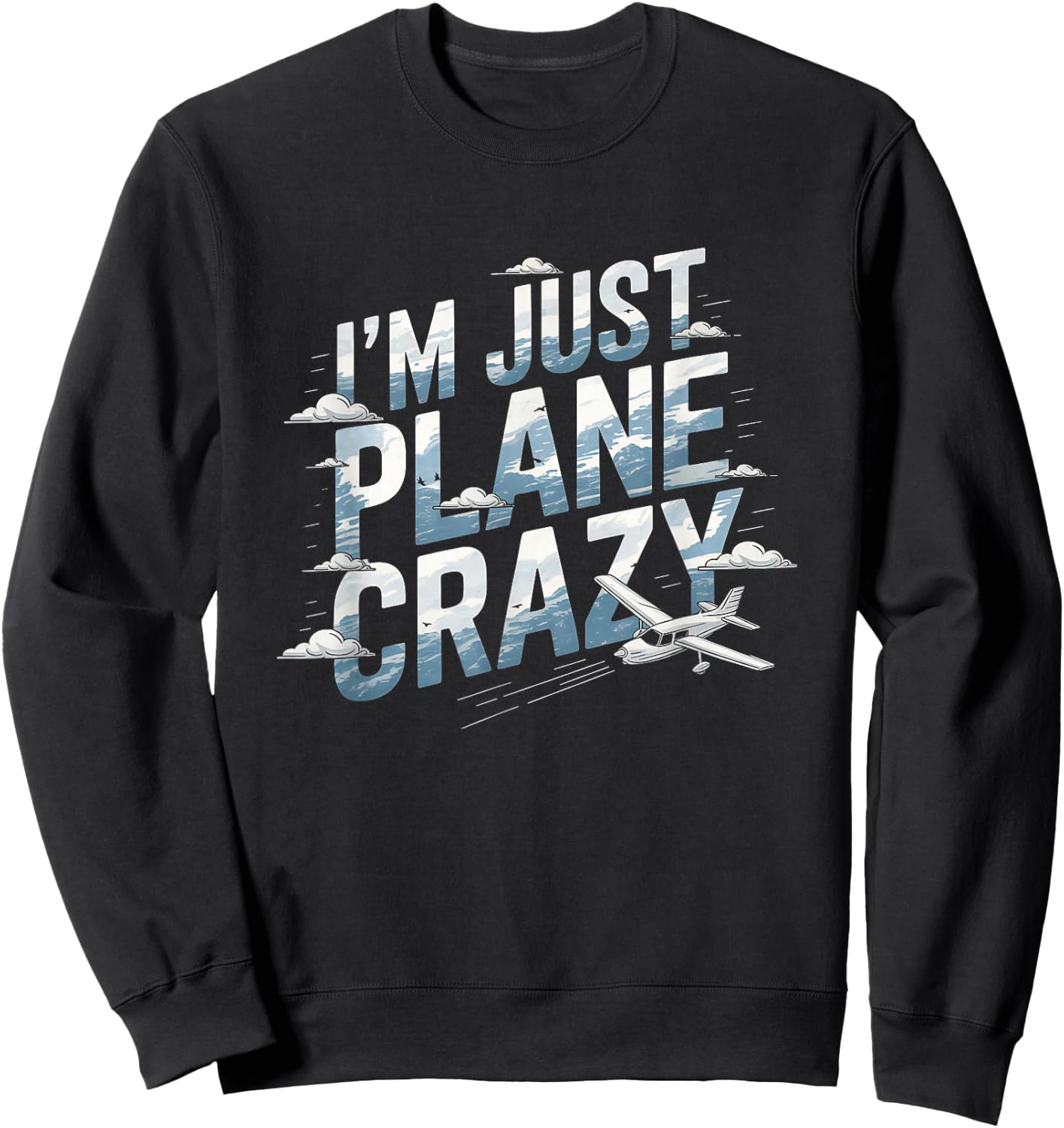 I'm Just Plane Crazy Aviation Enthusiasts Sweatshirt - Sweatshirt | Black