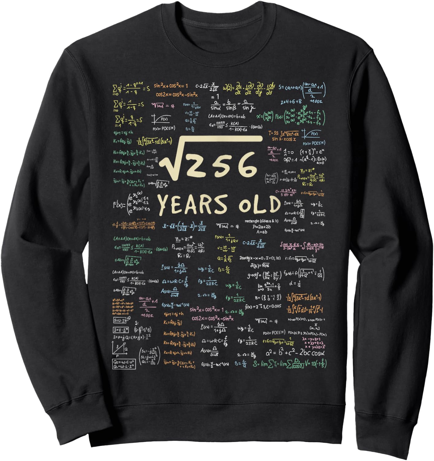 Maths Birthday Gift - 16 Years Formula 16 Birthday Sweatshirt - Sweatshirt | Black