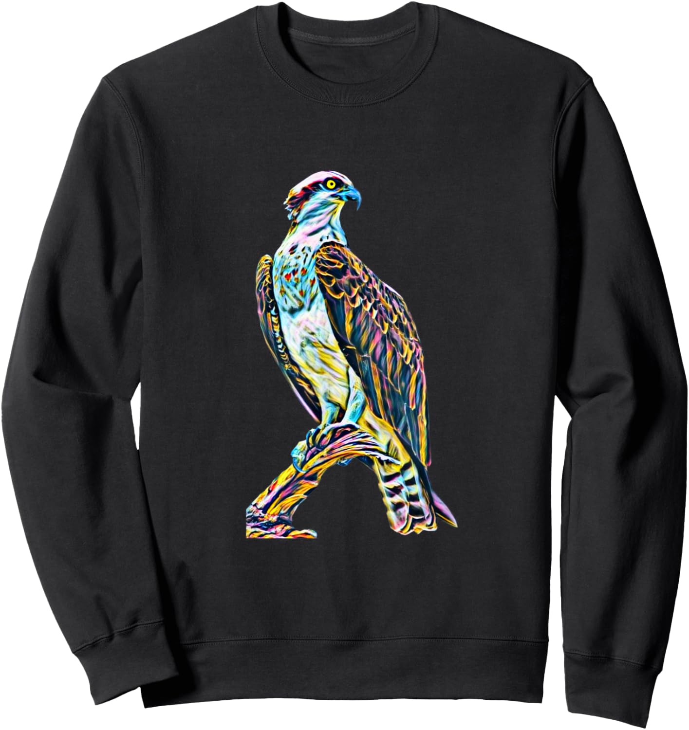Hawk Bird of Prey Motif Beak Claws Birds colorful Falcon Sweatshirt - Sweatshirt | Black