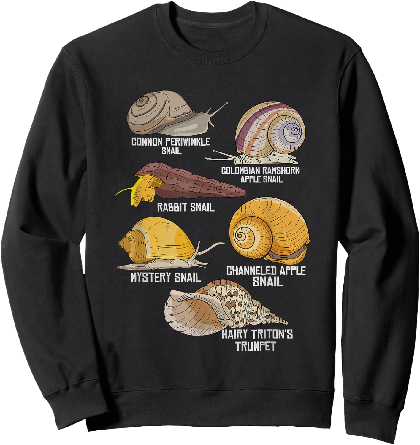 Water Snail Species Illustration Biology Water Snails Sweatshirt - Sweatshirt | Black