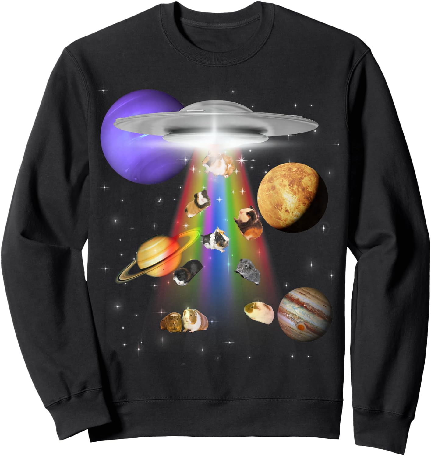 Guinea Pig Lover Alien Abduction UFO LGBTQ Subtle Pride Sweatshirt - Sweatshirt | Black