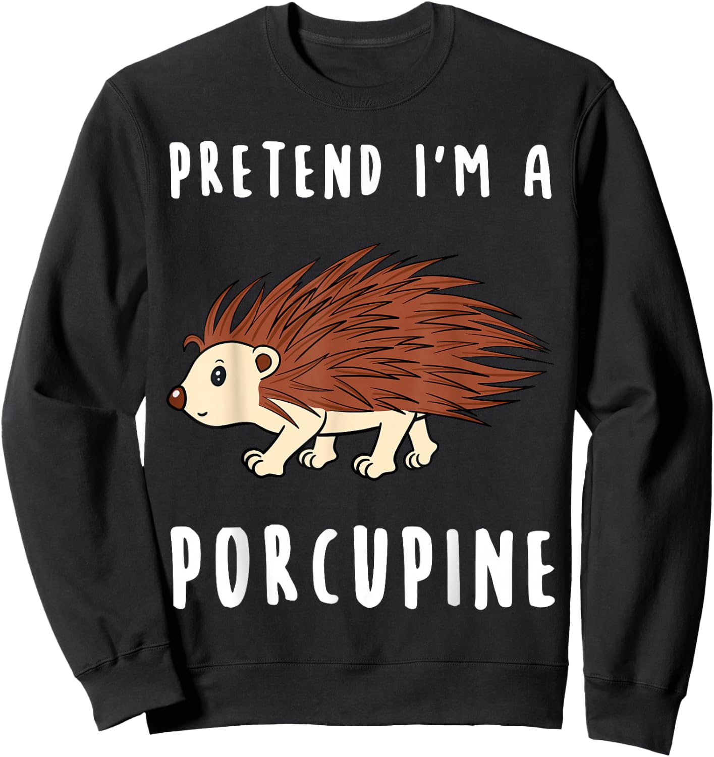 Porcupine Owner Quill Pig Rodent Spines Veterinarian Breeder Sweatshirt - Sweatshirt | Black
