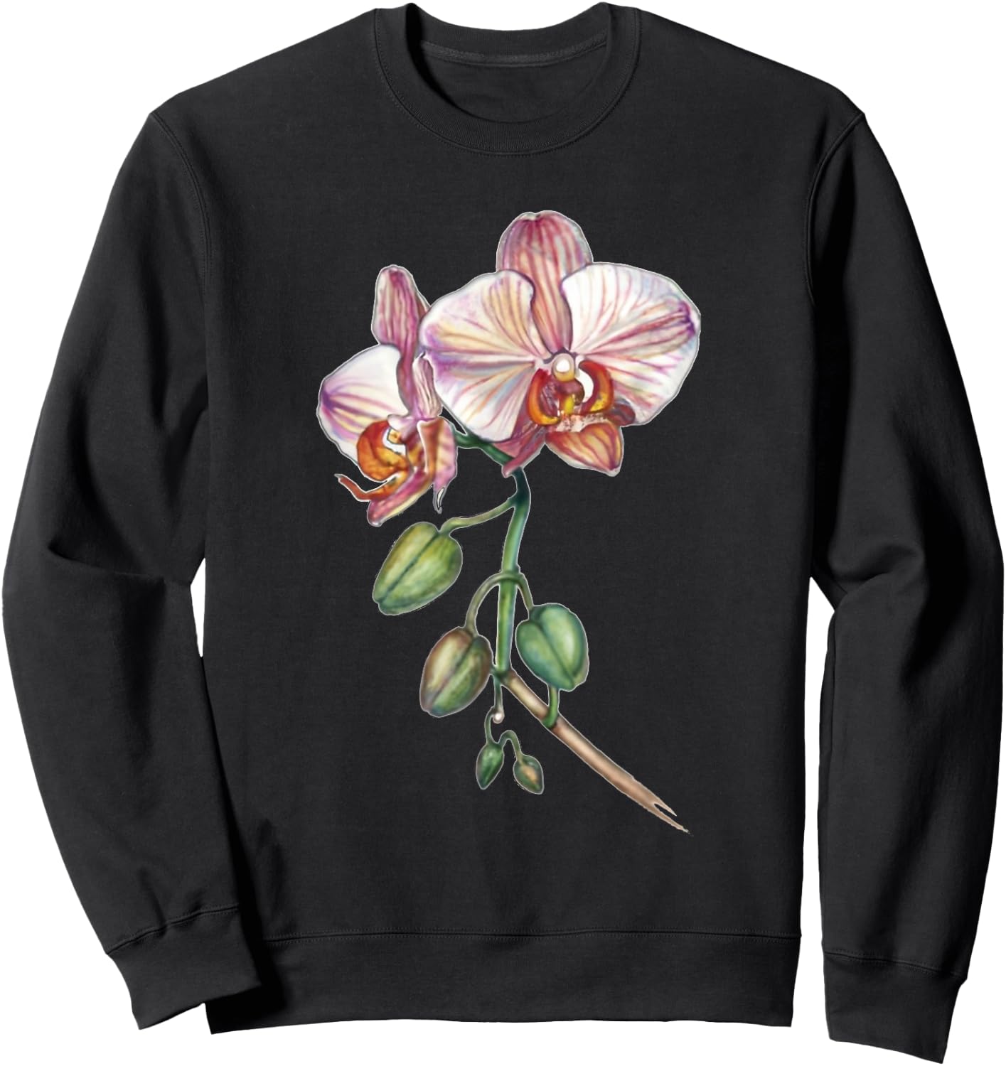 Orchid, butterfly orchid, Phalaenopsis spec. buds Sweatshirt - Sweatshirt | Black