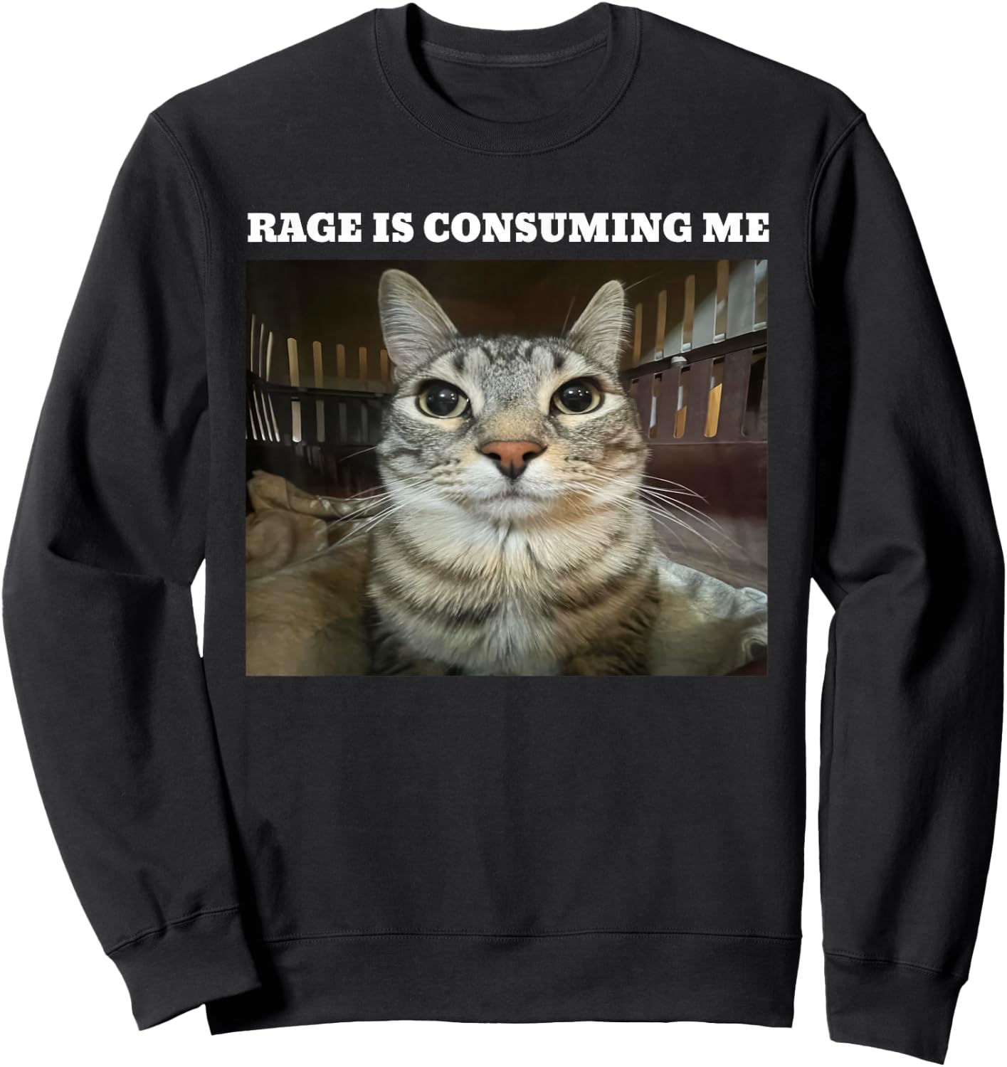 Rage Is Consuming Me Cat Meme Sweatshirt - Sweatshirt | Black