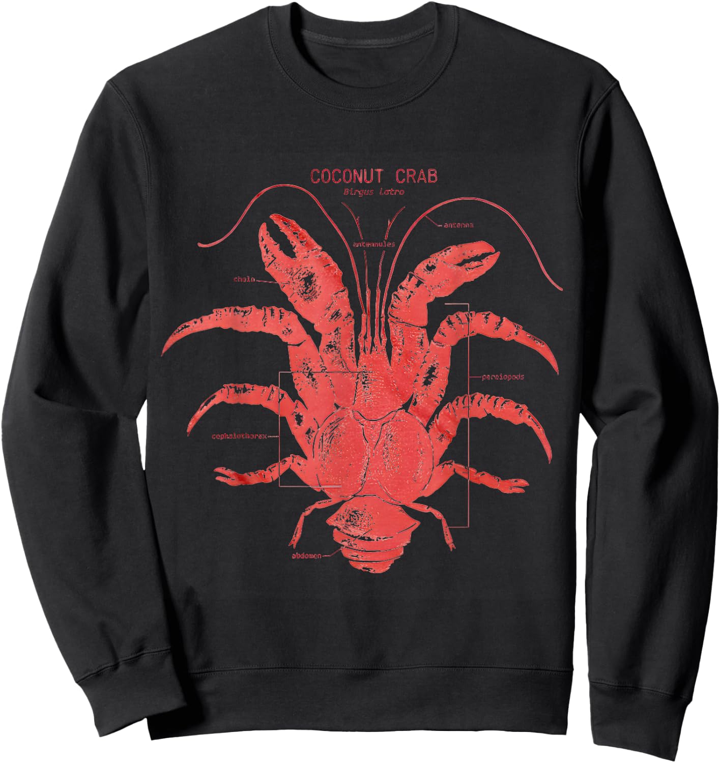 Coconut Crab Anatomy Sweatshirt - Sweatshirt | Black