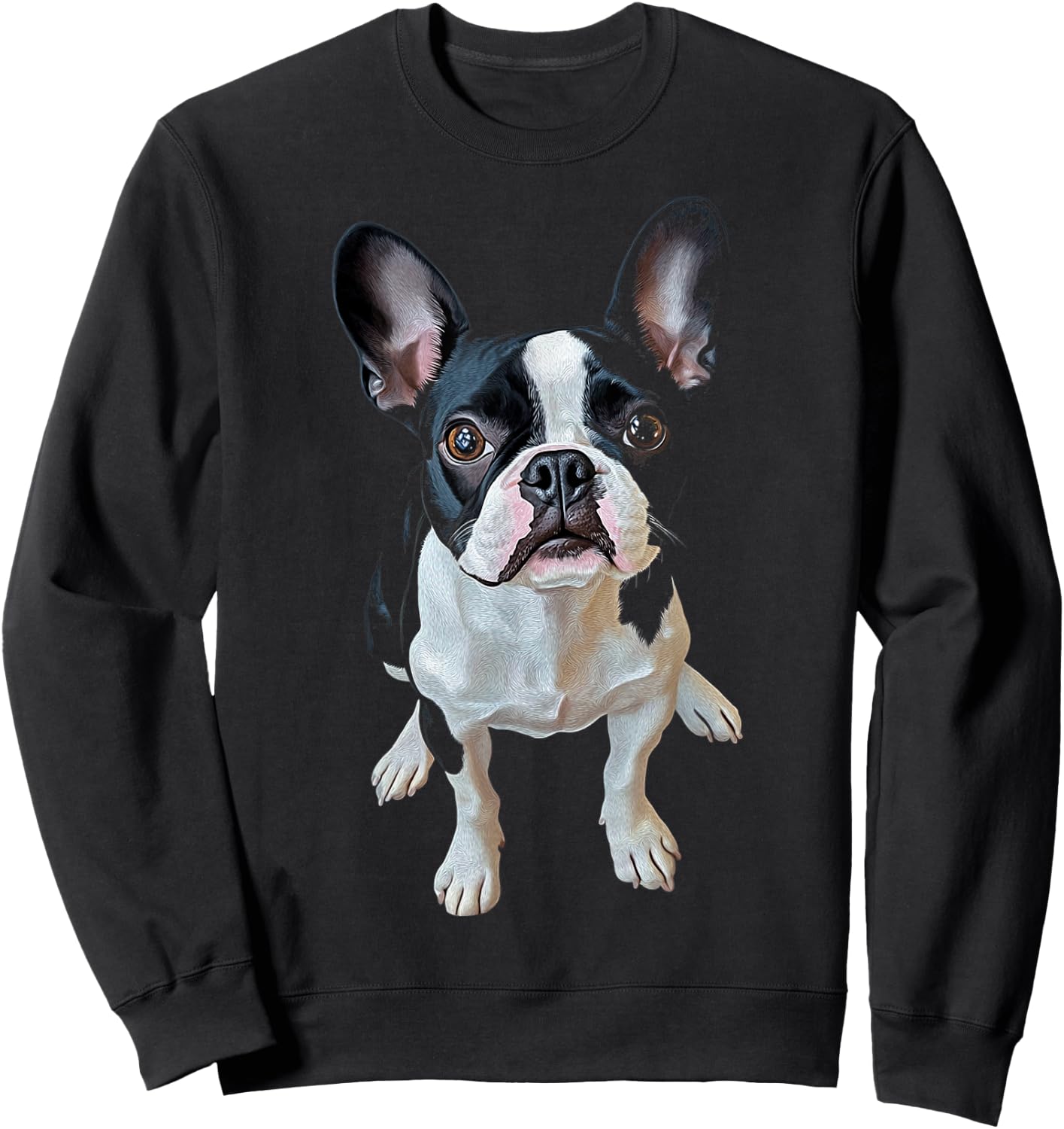 Boston Terrier Dog Motif Pet Art Boston Terrier Men Women Kids Sweatshirt - Sweatshirt | Black