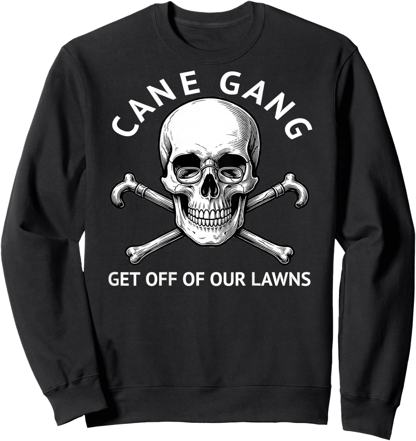Funny Senior Citizens Cane Gang Get Off Our Lawns Aging Fun Sweatshirt - Sweatshirt | Black