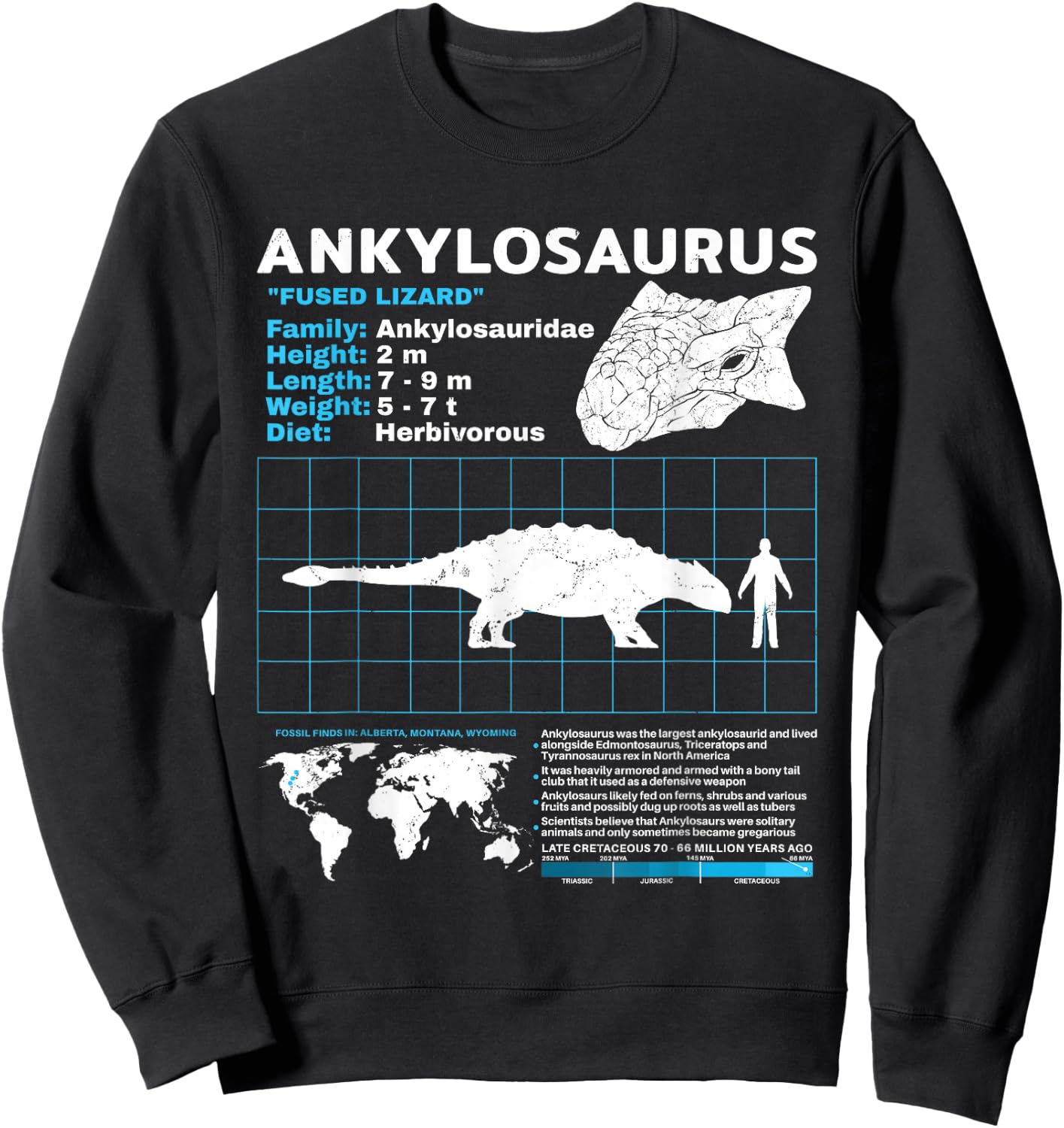 Ankylosaurus fact sheet Dinosaur Facts Sweatshirt - Sweatshirt | Black