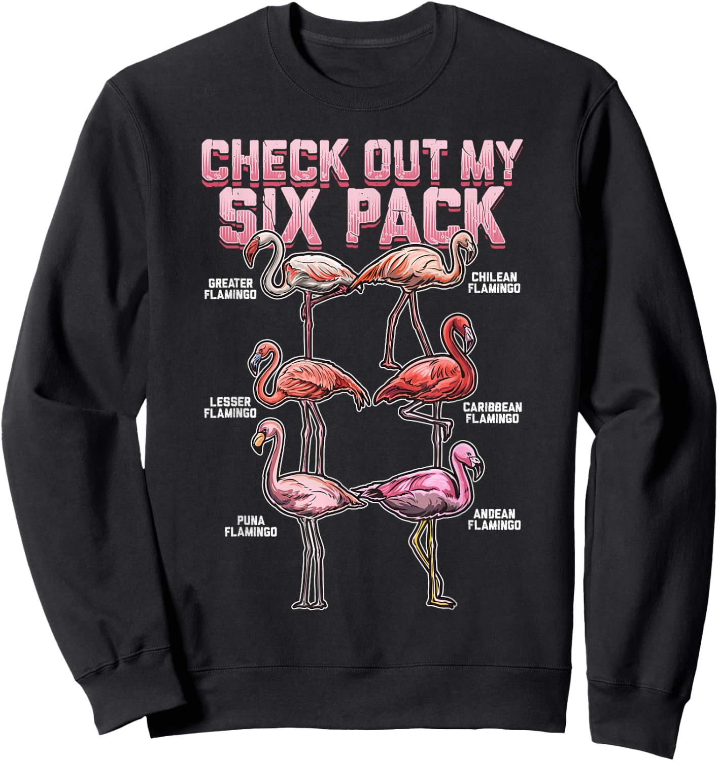 Flamingo Shirt Men Women Boys Girls Check Out My Six Pack Sweatshirt - Sweatshirt | Black