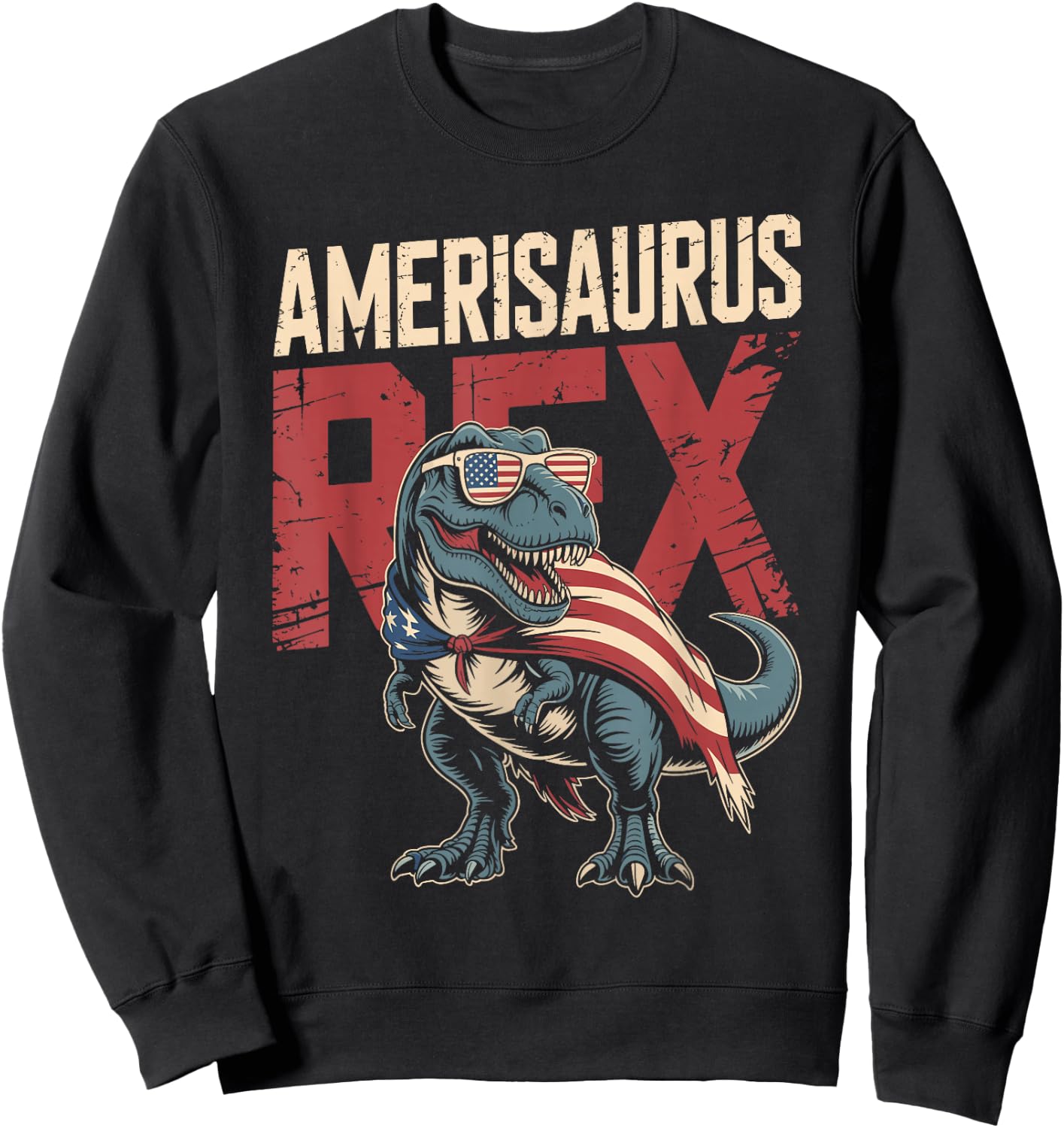 Funny 4th of July Dinosaur Amerisaurus Rex Boys Kids Youth Sweatshirt - Sweatshirt | Black