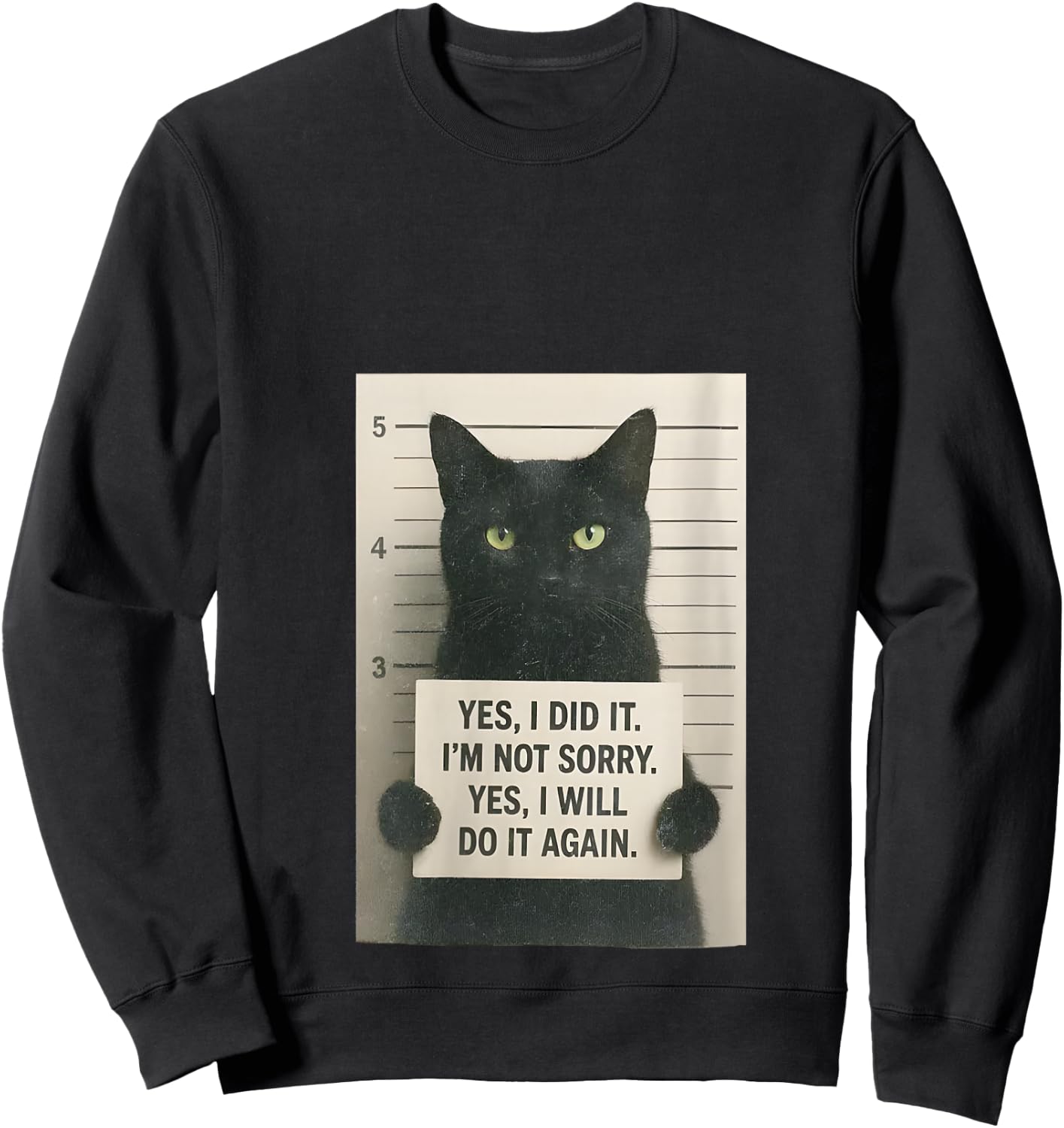 Women's Yes, I Did It. I'm Not Sorry. Yes, I'll Do It Again Cat Meme V-Neck Sweatshirt - Sweatshirt | Black