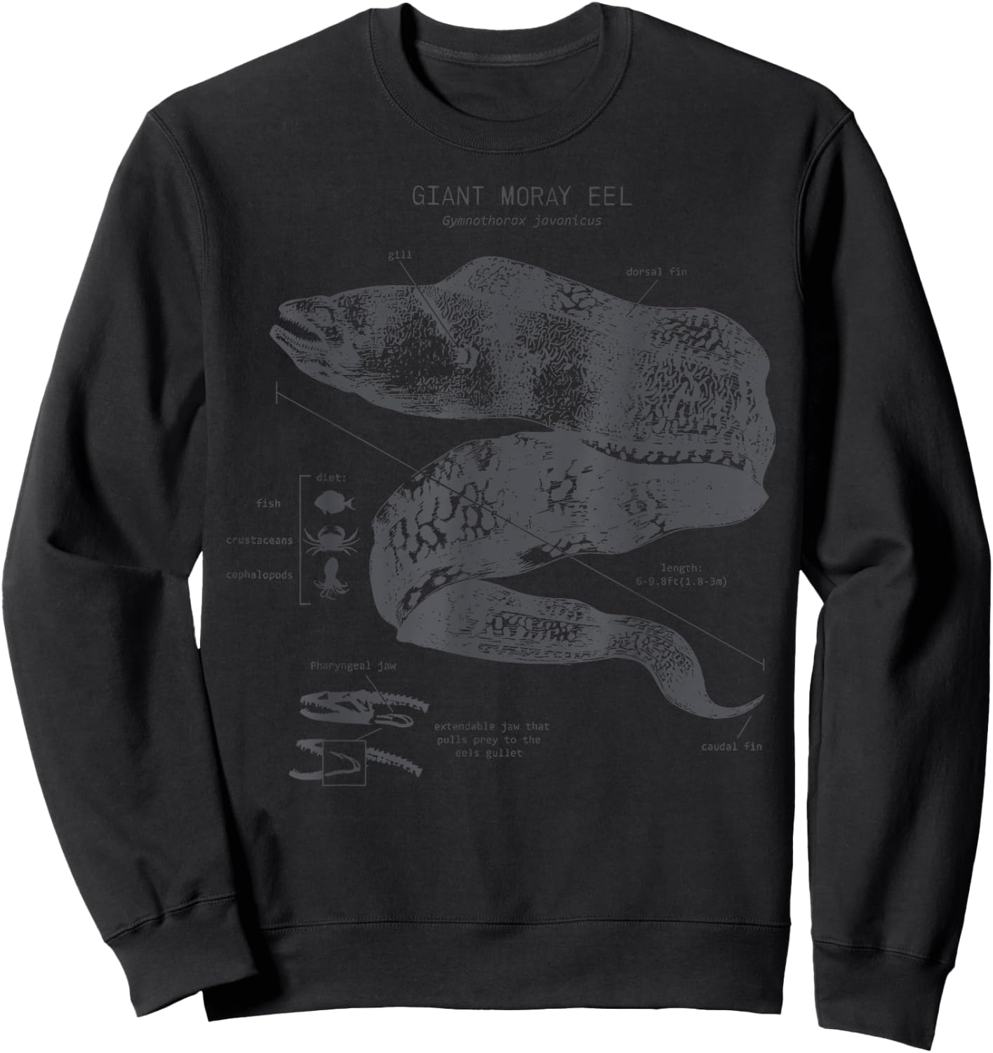 Vintage Moray Eel Anatomy Ocean Animal Marine Biologist Sweatshirt - Sweatshirt | Black