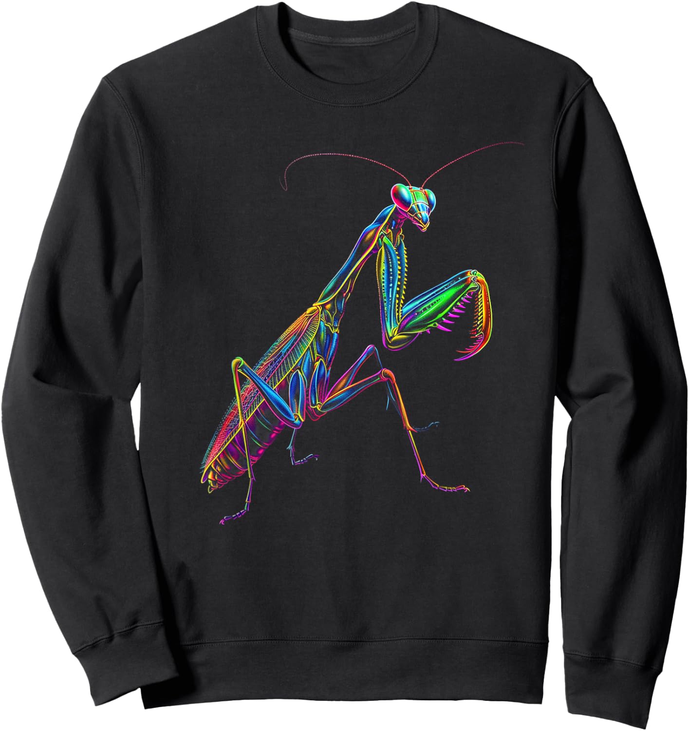 Praying Mantis Funny Bug Insect Entomology Entomologist Sweatshirt - Sweatshirt | Black