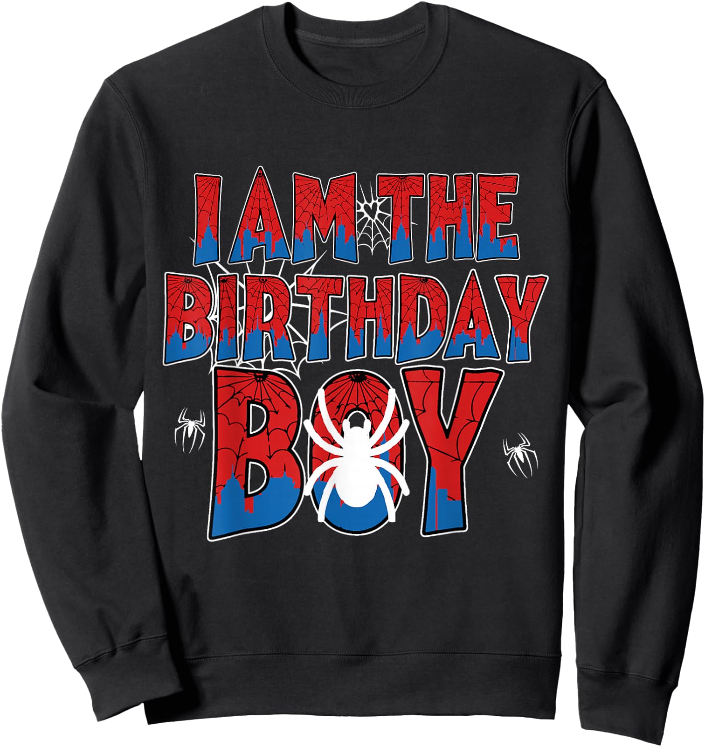 Spider Web Birthday Party I Am The Birthday Boy Family Sweatshirt - Sweatshirt | Black