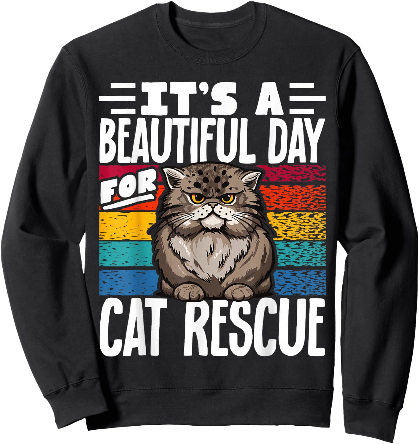 It's A Beautiful Day For Cat Rescue Sweatshirt - Sweatshirt | Black