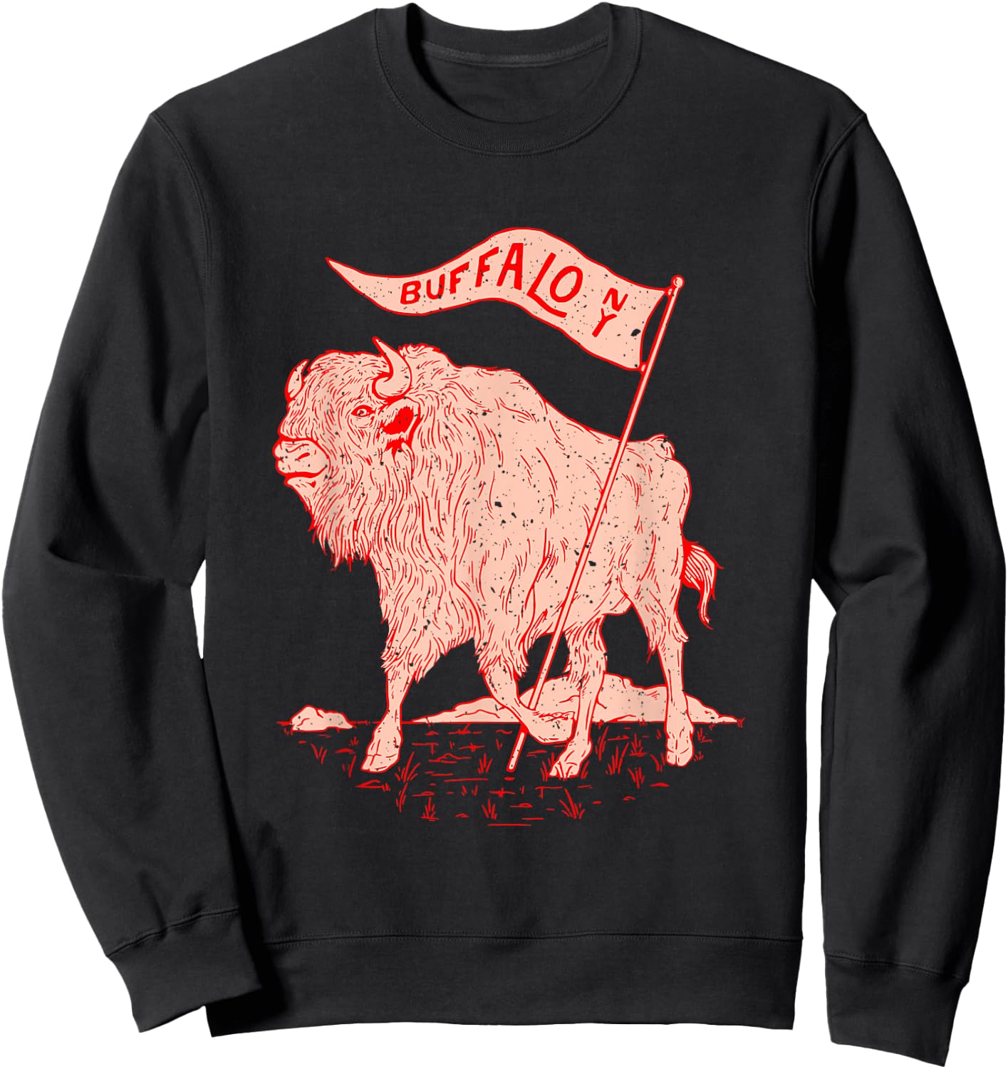 Crichton Street Buffalo NY Vintage Bison Buffalo Holds A Flag - Black, Small, -Kids Sweatshirt - Sweatshirt | Black