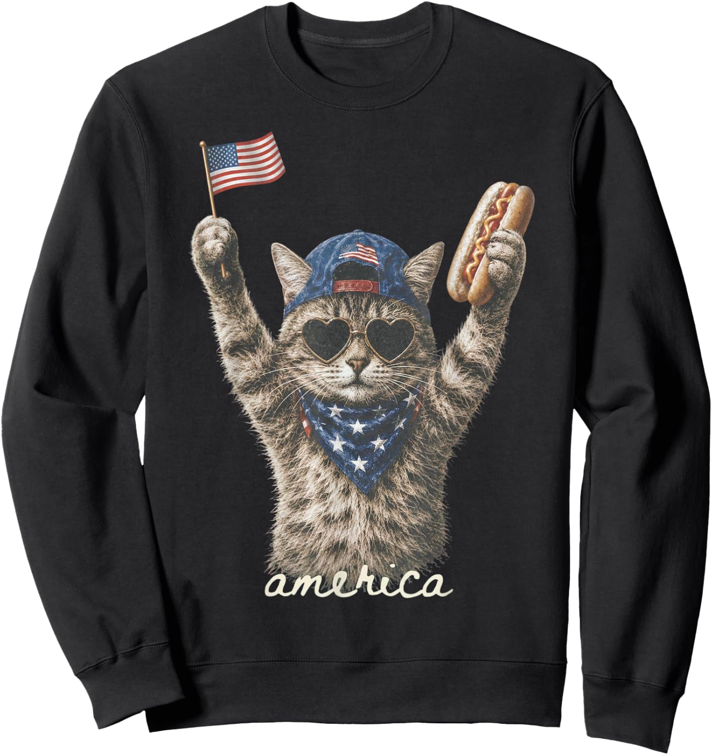 Funny America Cat Hotdog 4th of July US Flag Patriotic Sweatshirt - Sweatshirt | Black