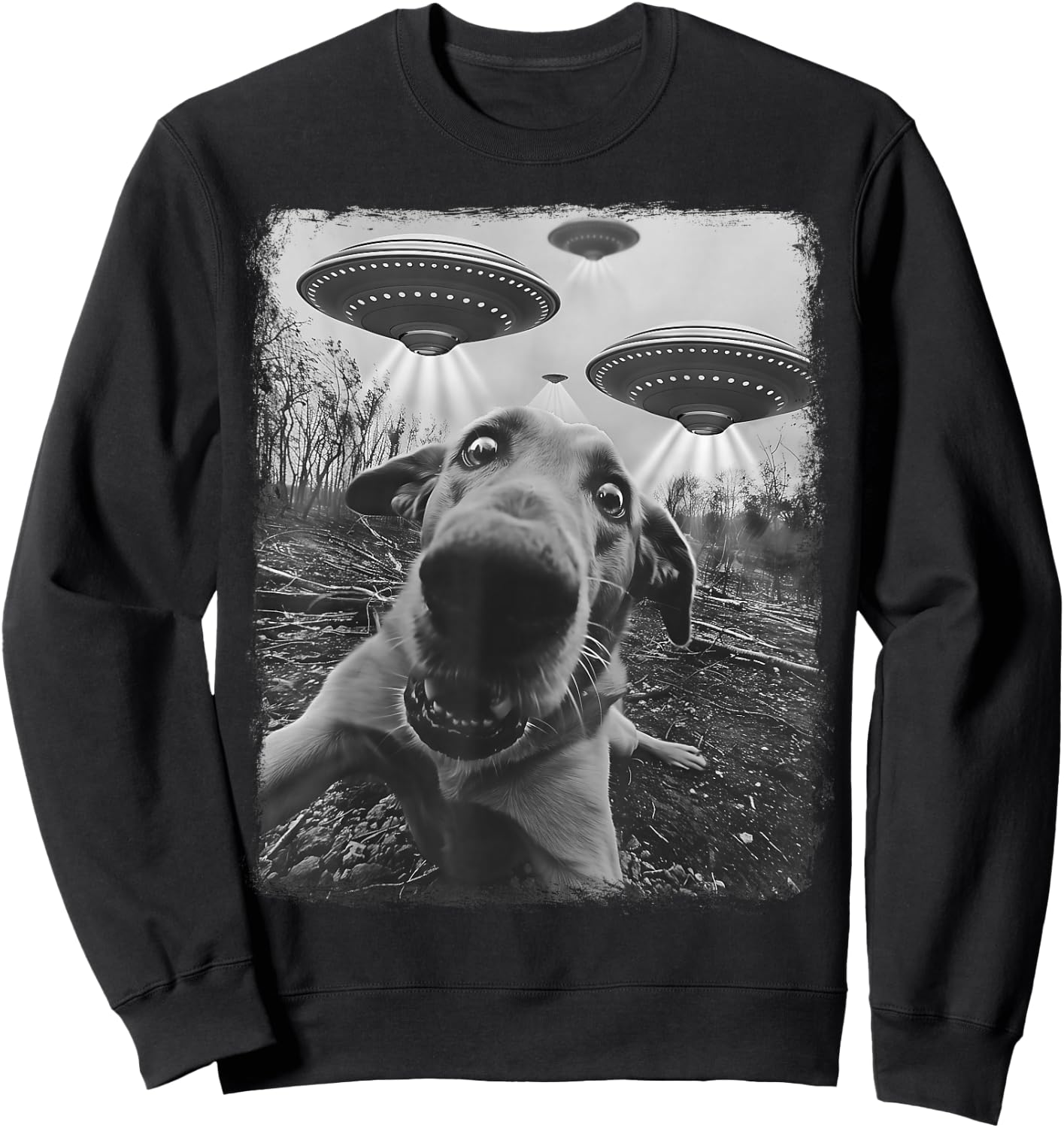 Chesapeake Bay Retriever Dog UFO Alien Extraterrestrial Sweatshirt - Sweatshirt | Black