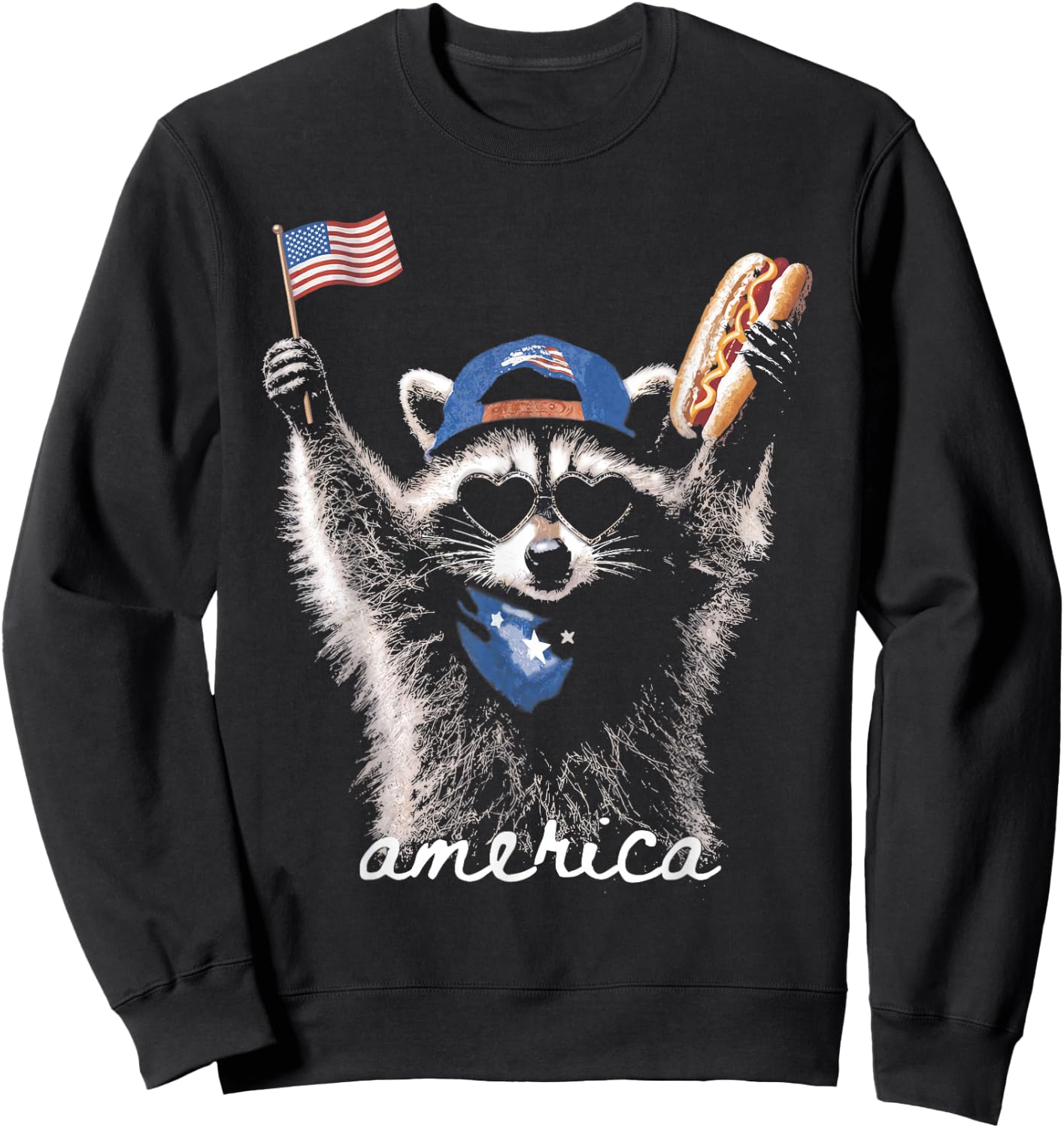 Retro Funny America Raccoon Hot Dog Lovers Patriotic US Flag Sweatshirt - Sweatshirt | Black