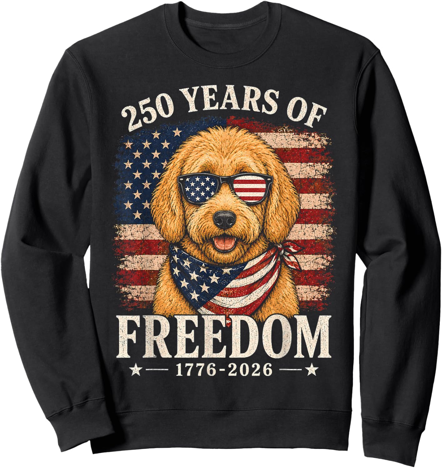 250th Anniversary USA Doodle Sweatshirt - Sweatshirt | Black