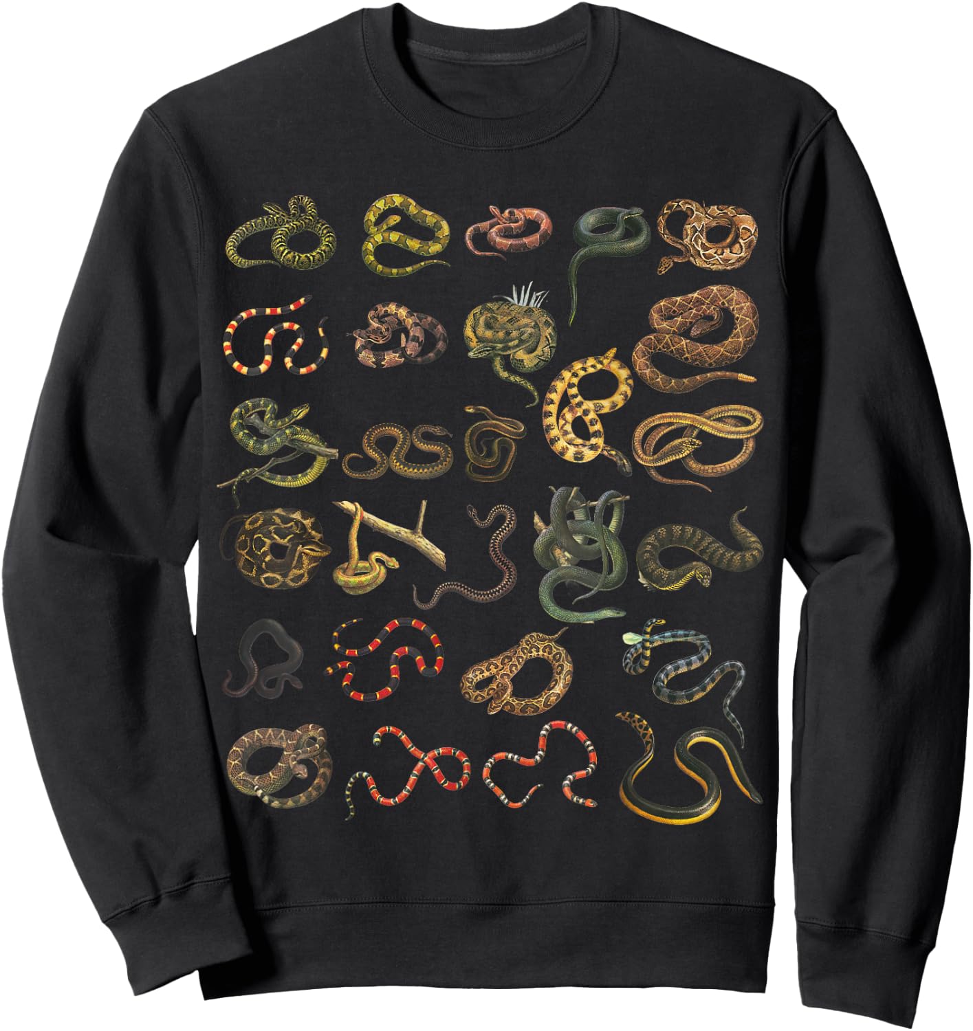 Different Types Of Snakes Educational Herpetologist Serpent Sweatshirt - Sweatshirt | Black