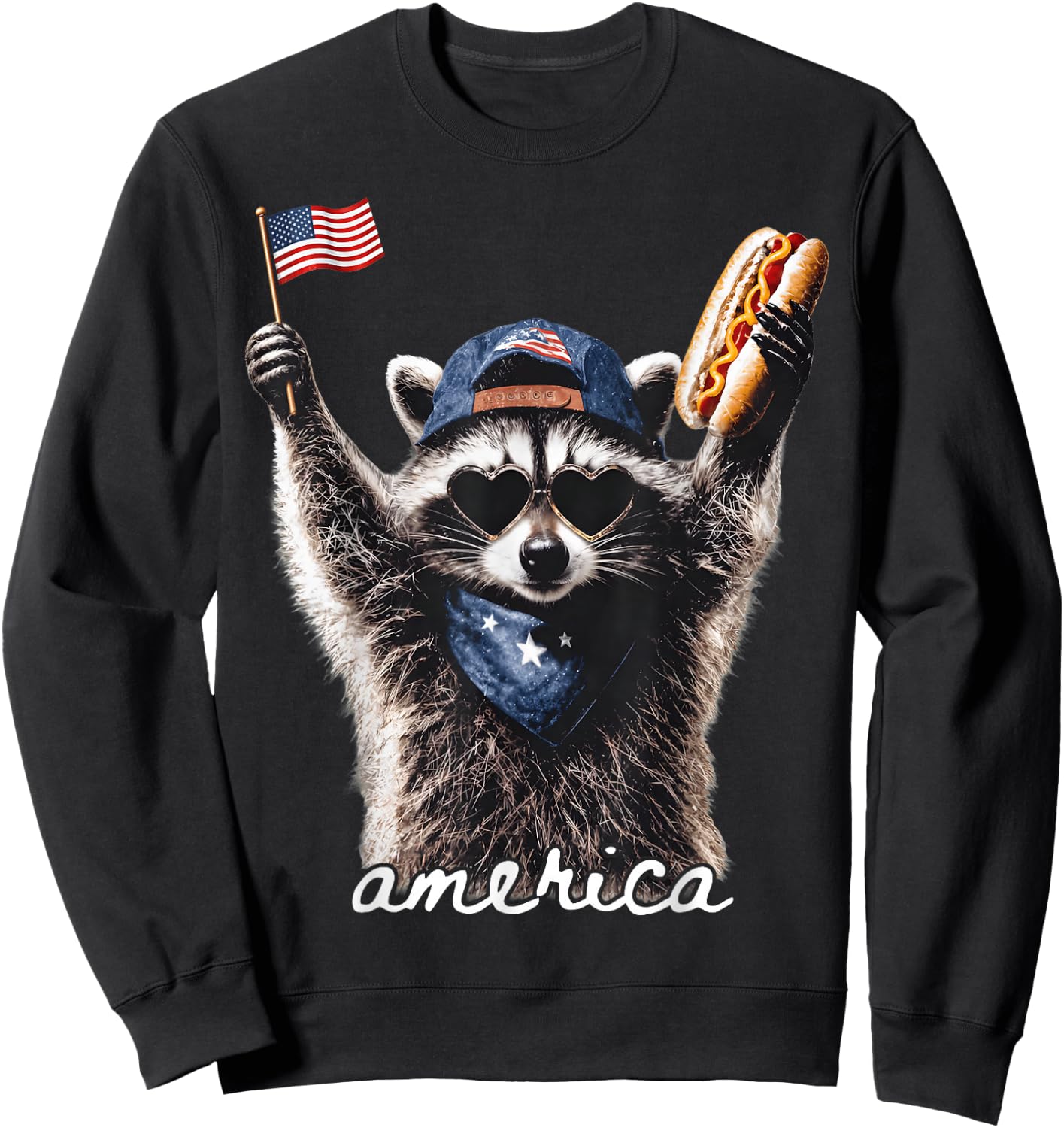 America Meme Raccoon Hot Dog 250 Years 1776 2026 4th of July Sweatshirt - Sweatshirt | Black