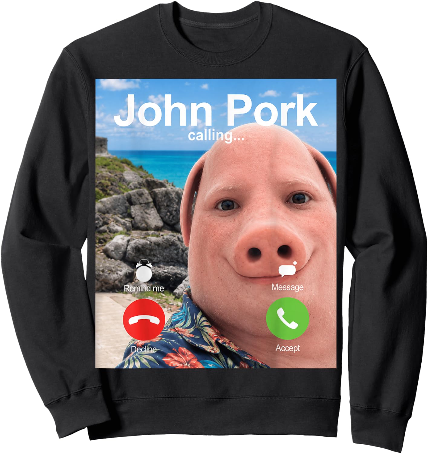 John Pork Calling Decline Accept Incoming Call Meme Sweatshirt - Sweatshirt | Black