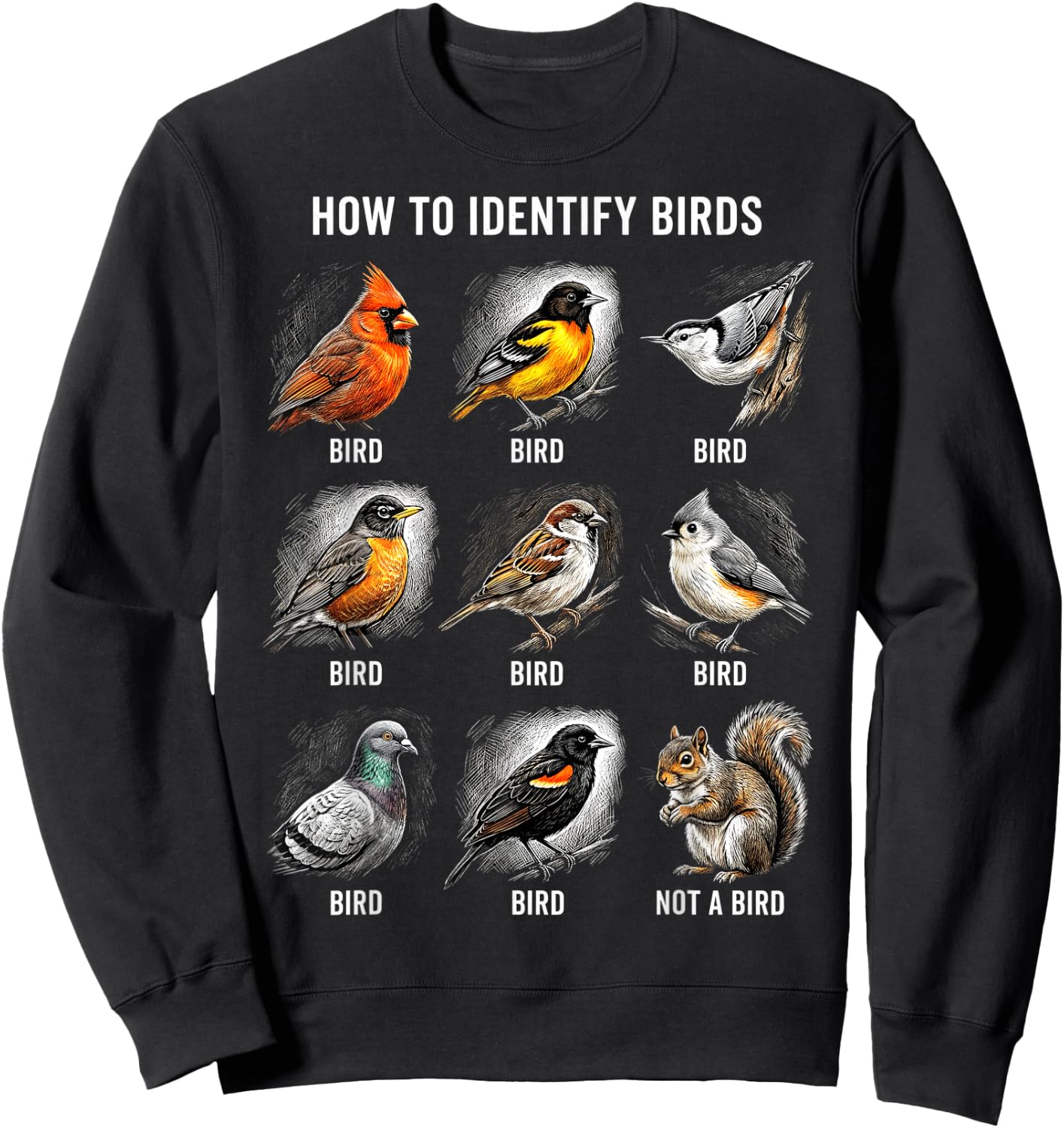 Vögel Bestimmen Lustiges Eichhörnchen Vogelbeobachtung Sweatshirt - Sweatshirt | Black