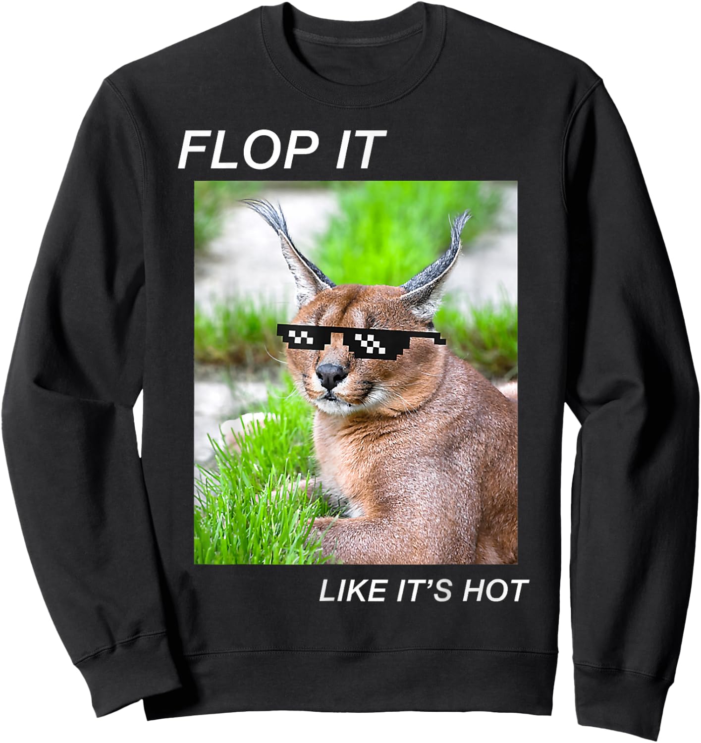 Meme Cat Caracal Big Floppa Joke Ironic Humor Funny Graphic Sweatshirt - Sweatshirt | Black