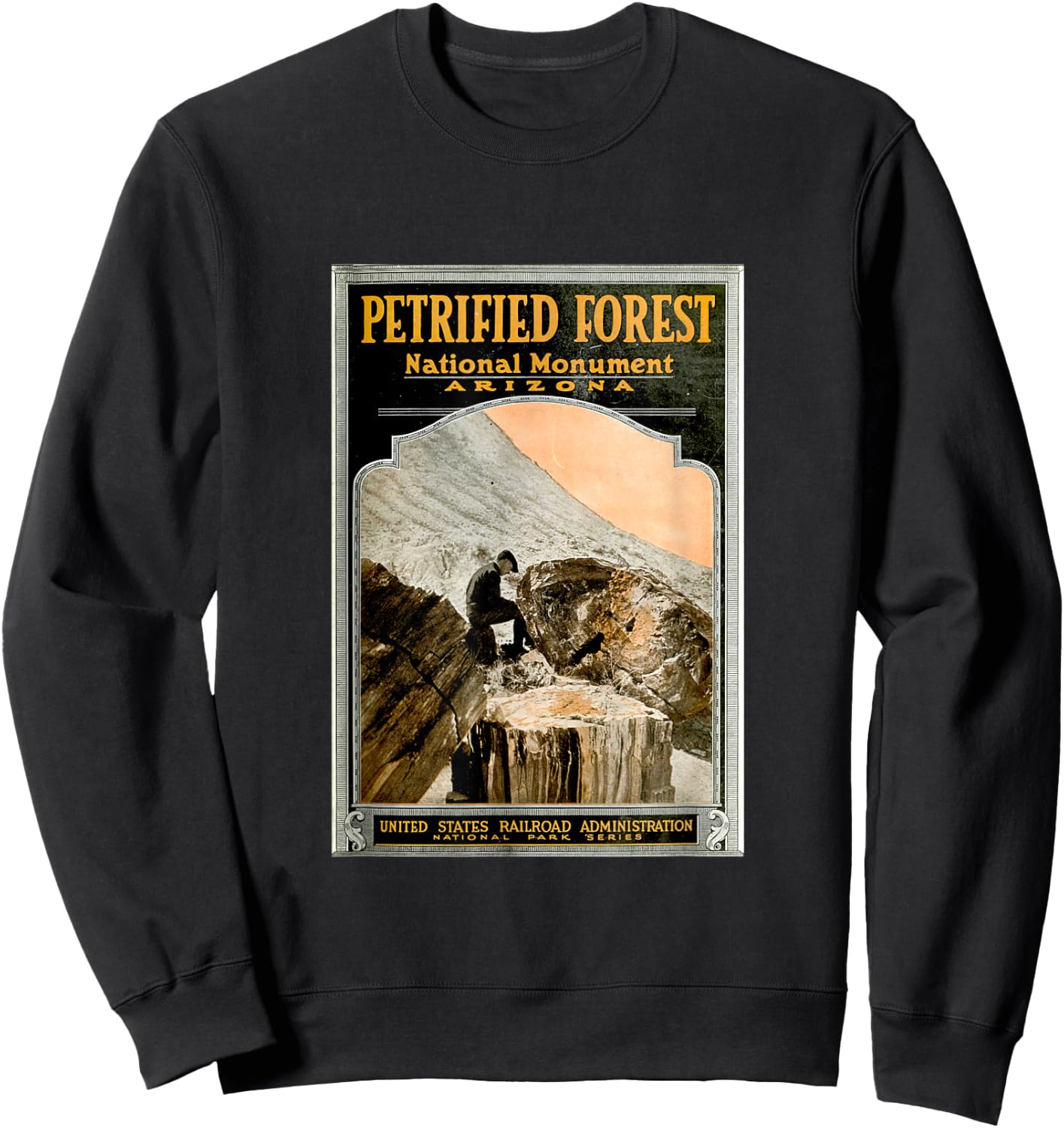 Petrified Forest National Park T Shirt Sweatshirt - Sweatshirt | Black