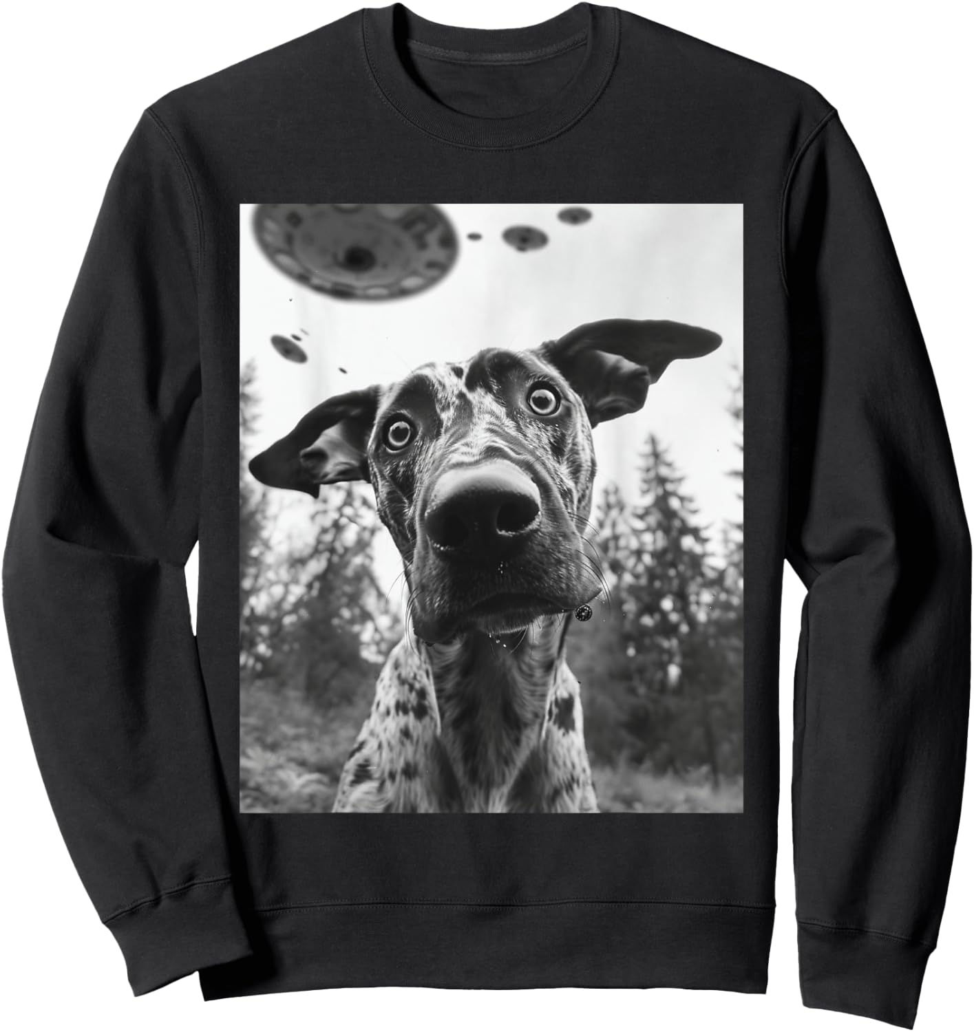 Dog Mom Dad - Funny Alien Selfie Catahoula Leopard UFO Sweatshirt - Sweatshirt | Black