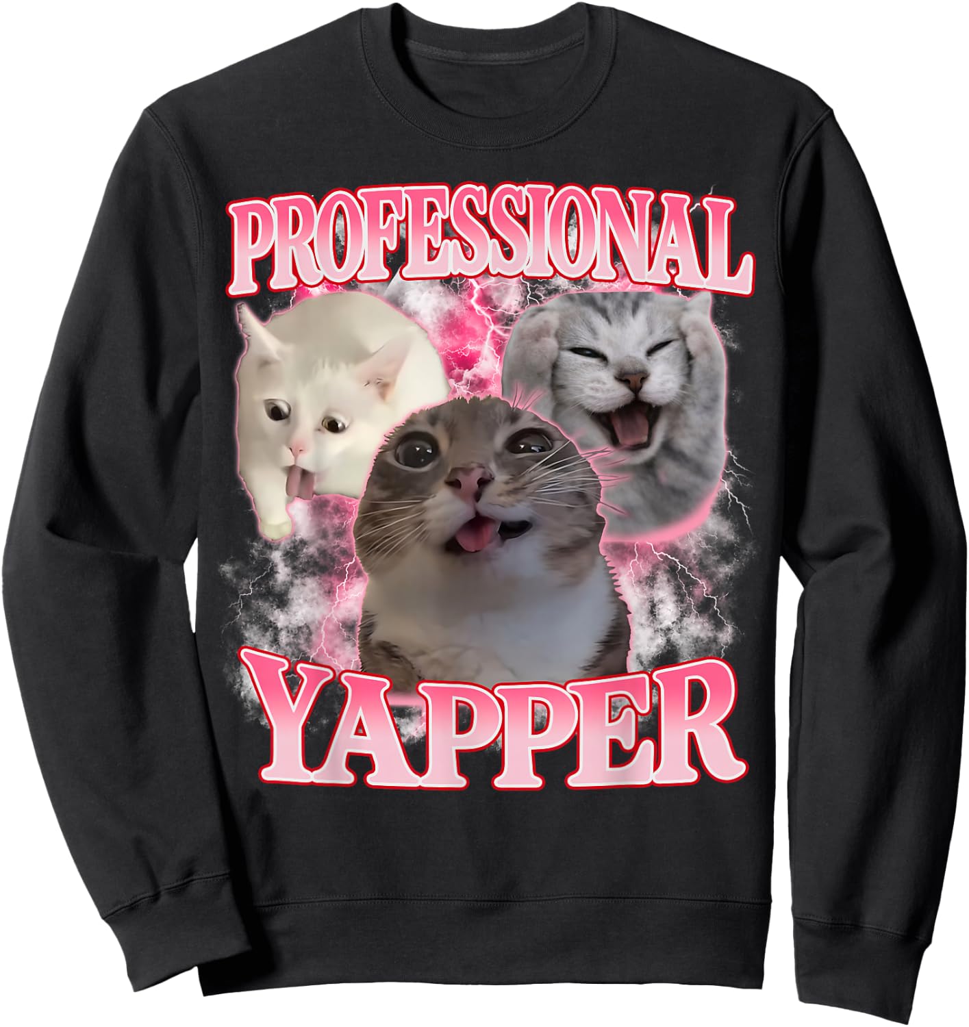 Professional Yapper Cat Funny Oddly Specific Dank Cat Meme Sweatshirt - Sweatshirt | Black