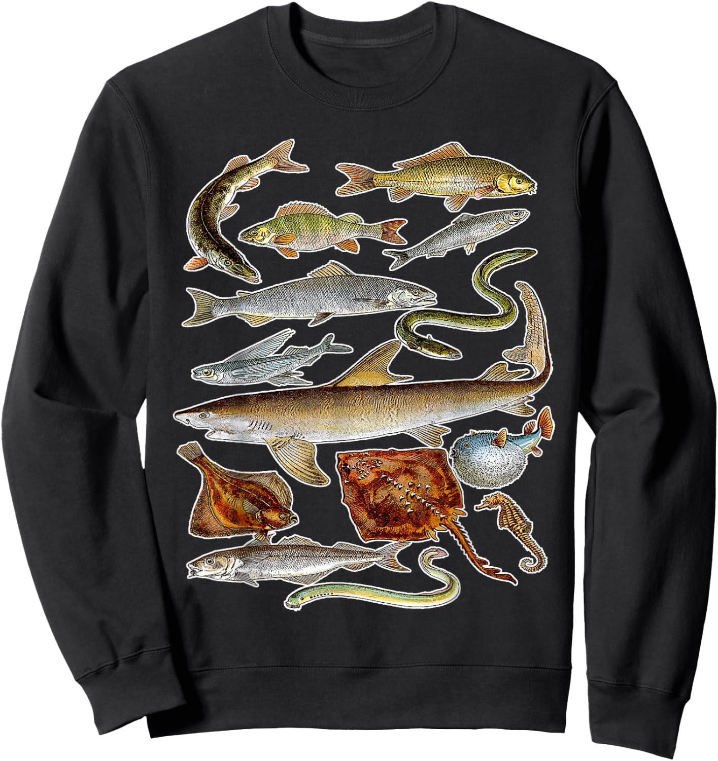 Sea Animals - Fish Sharks and Eels Illustration Sweatshirt - Sweatshirt | Black