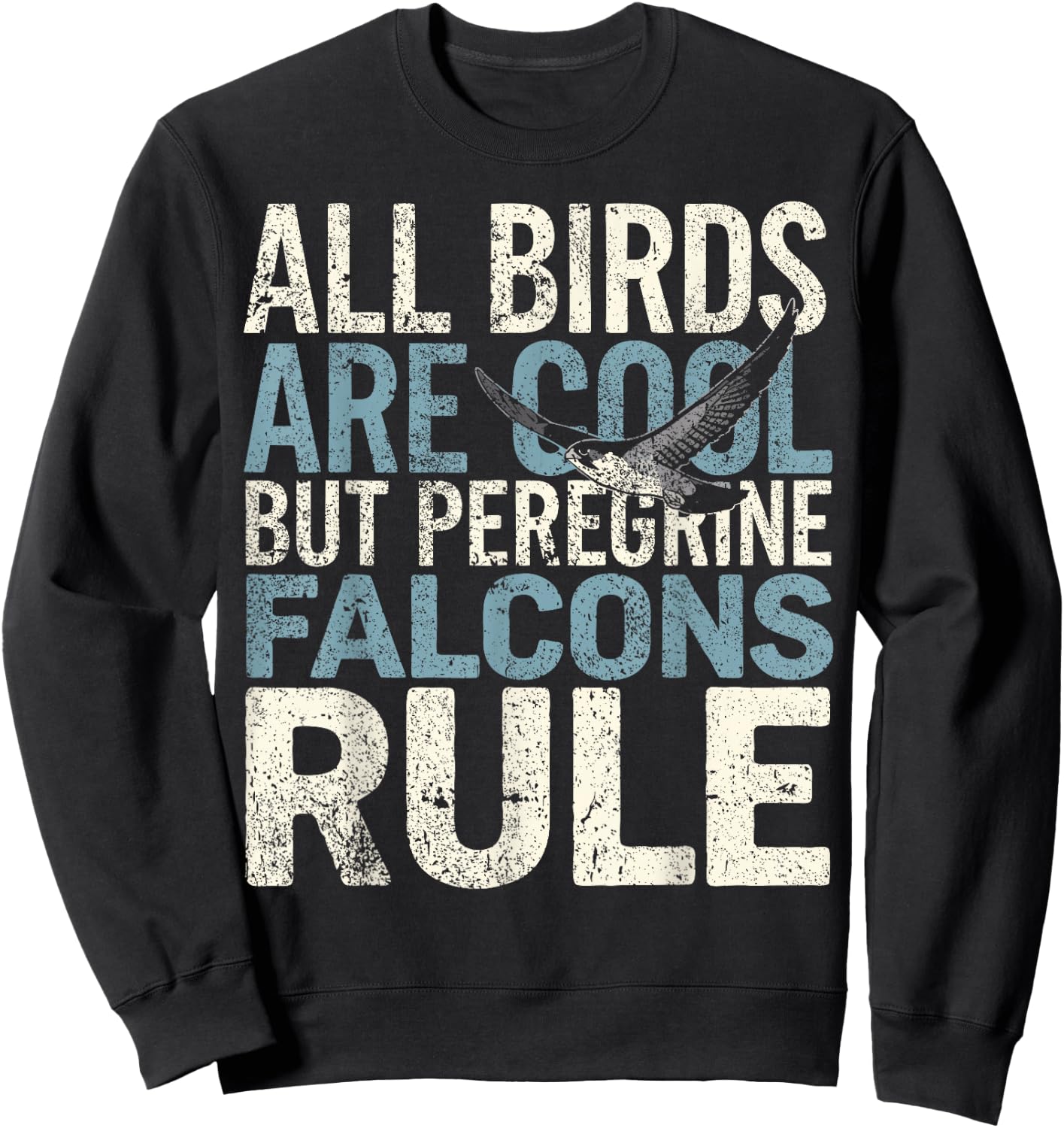 Falconer Peregrine Falcons Rule Falconry Sweatshirt - Sweatshirt | Black
