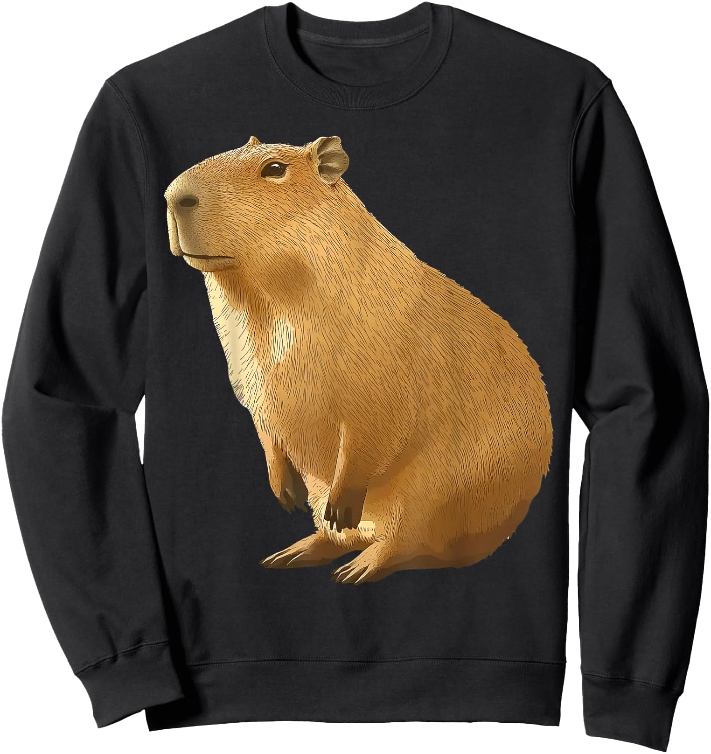 Cool Capybara Funny Capy Lover Men Women Teen Boys Kids Sweatshirt - Sweatshirt | Black